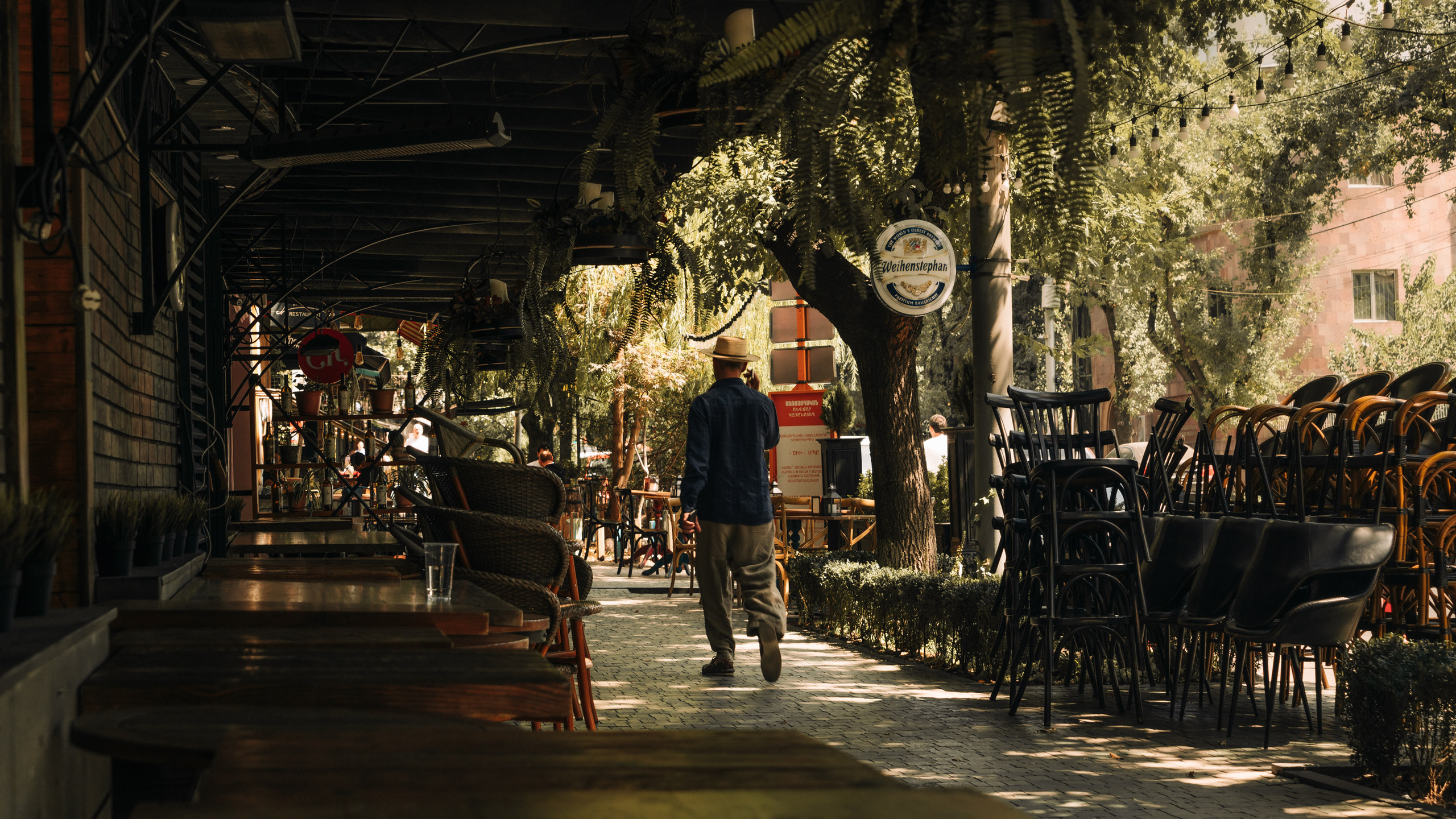 Ближний Восток: Ереван, Гюмри, Батуми, Тбилиси, Стамбул. Фотограф в Хабаровске. Фотография за 24 часа