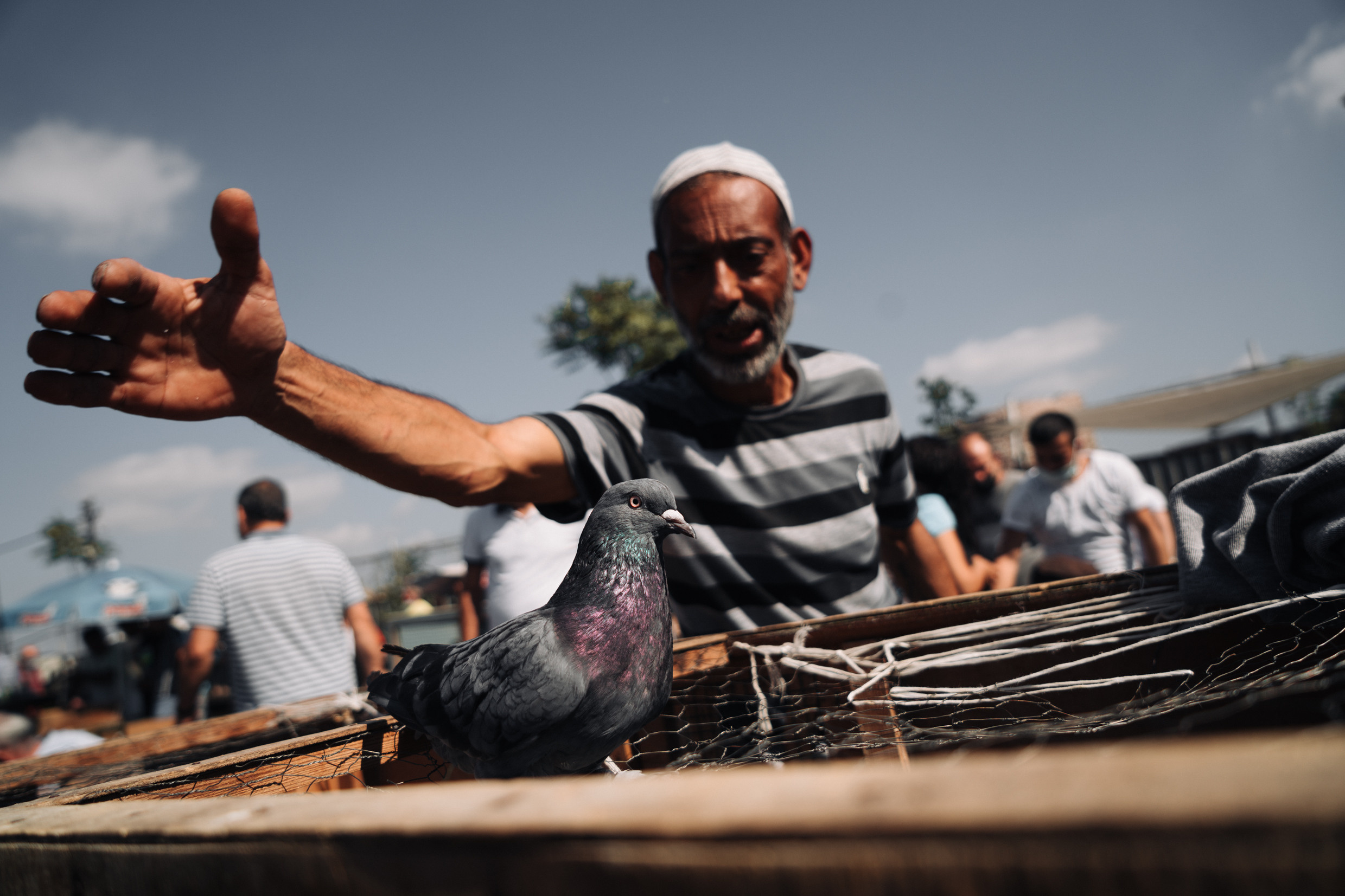 Ближний Восток: Ереван, Гюмри, Батуми, Тбилиси, Стамбул. Фотограф в Хабаровске. Фотография за 24 часа