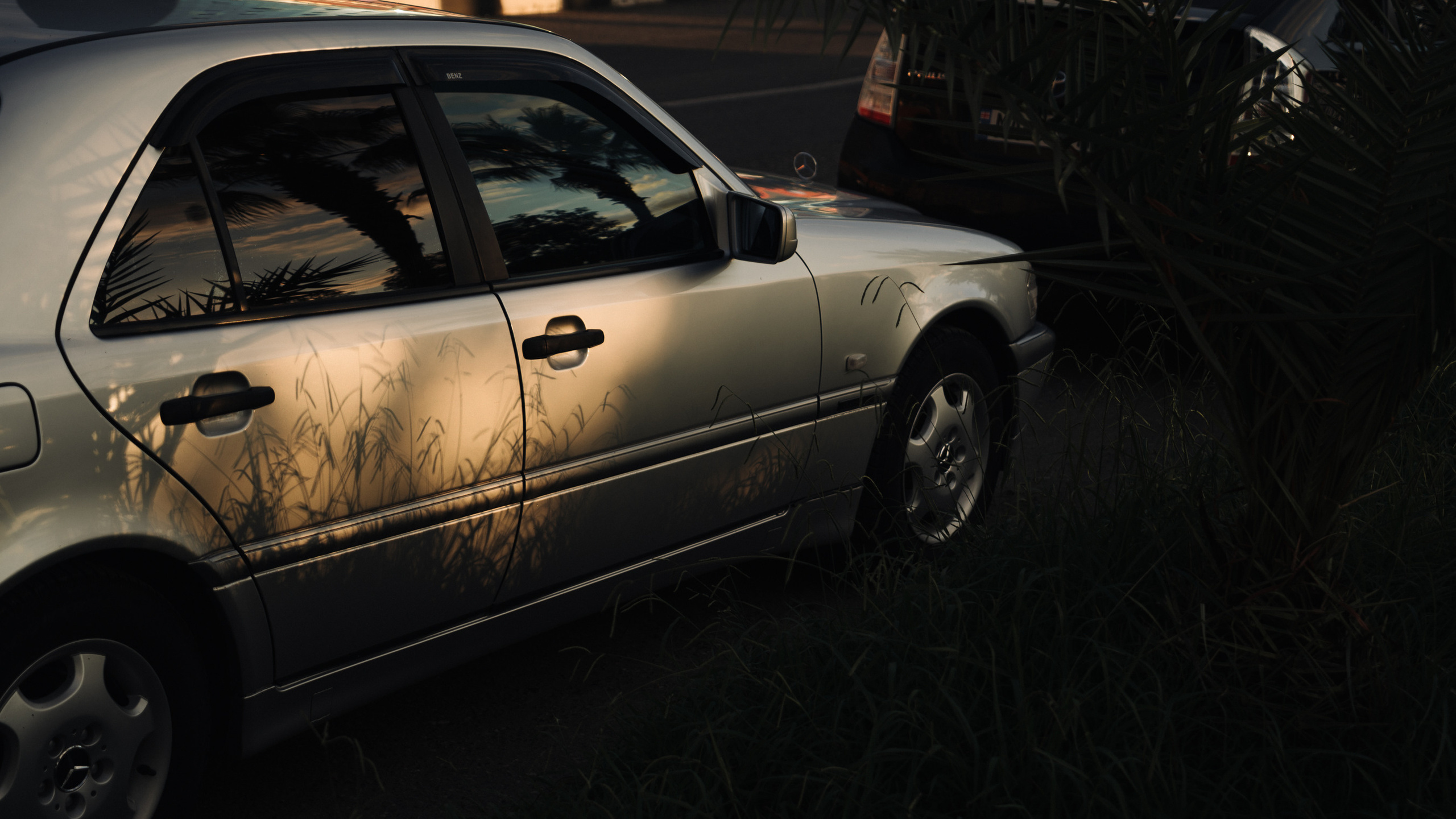 Ближний Восток: Ереван, Гюмри, Батуми, Тбилиси, Стамбул. Фотограф в Хабаровске. Фотография за 24 часа