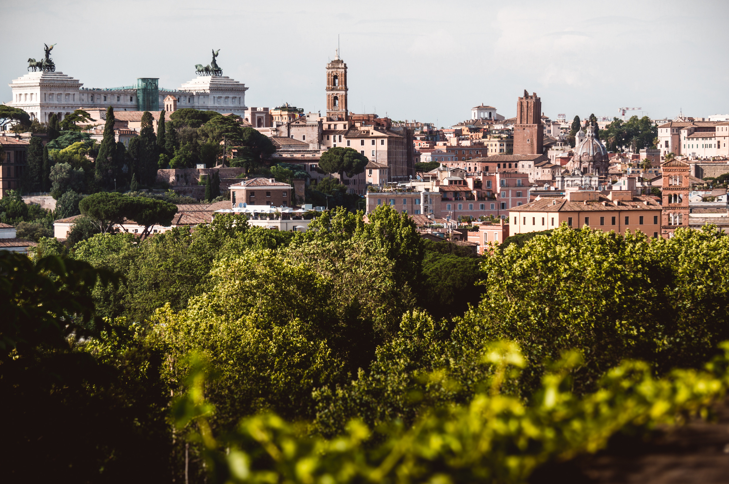 Центральная Европа: Италия, Швейцария, Германия, Бельгия, Нидерланды. Франция. Фотограф в Хабаровске. Фотография за 24 часа