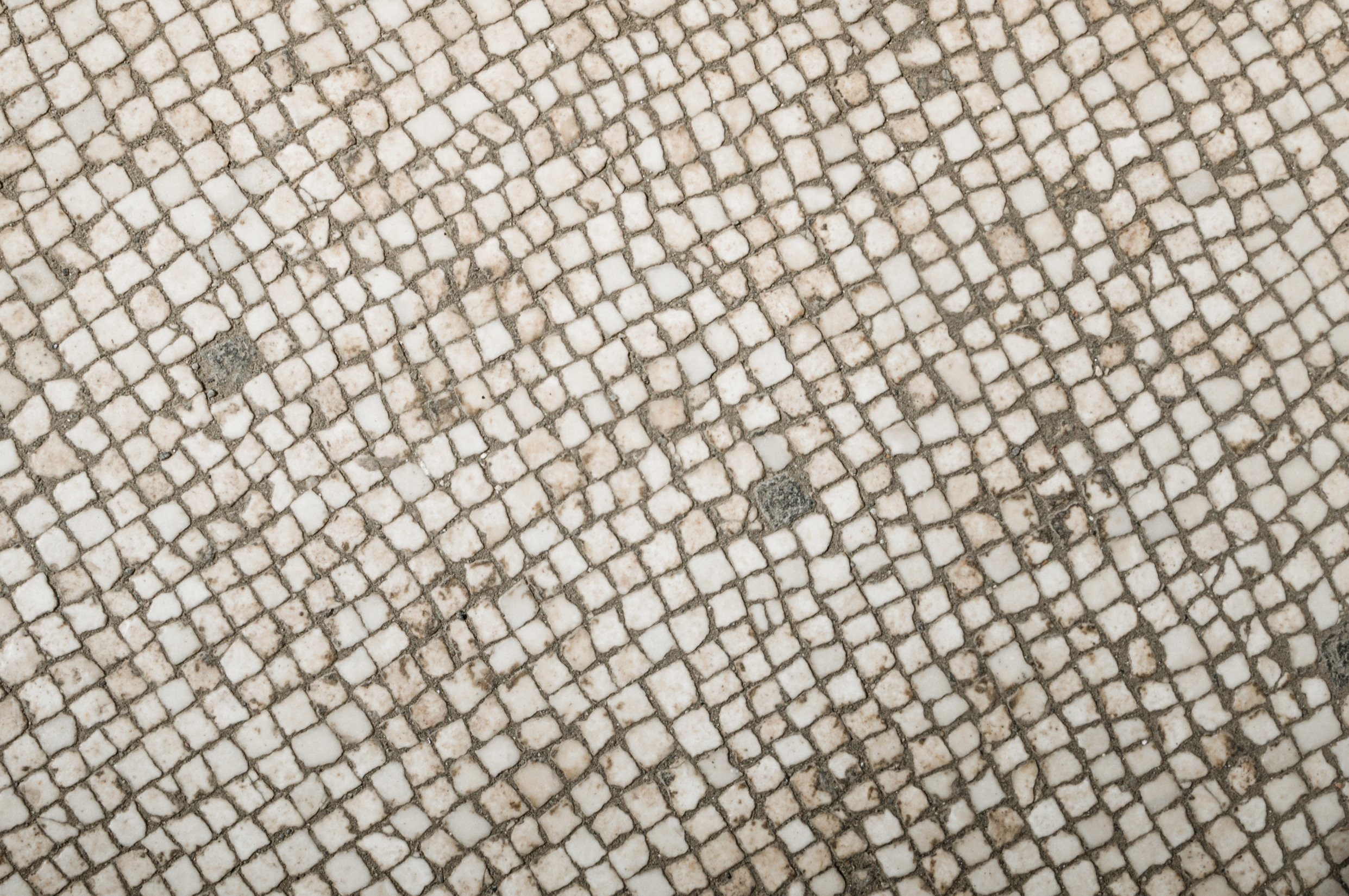 Центральная Европа: Италия, Швейцария, Германия, Бельгия, Нидерланды. Франция. Фотограф в Хабаровске. Фотография за 24 часа