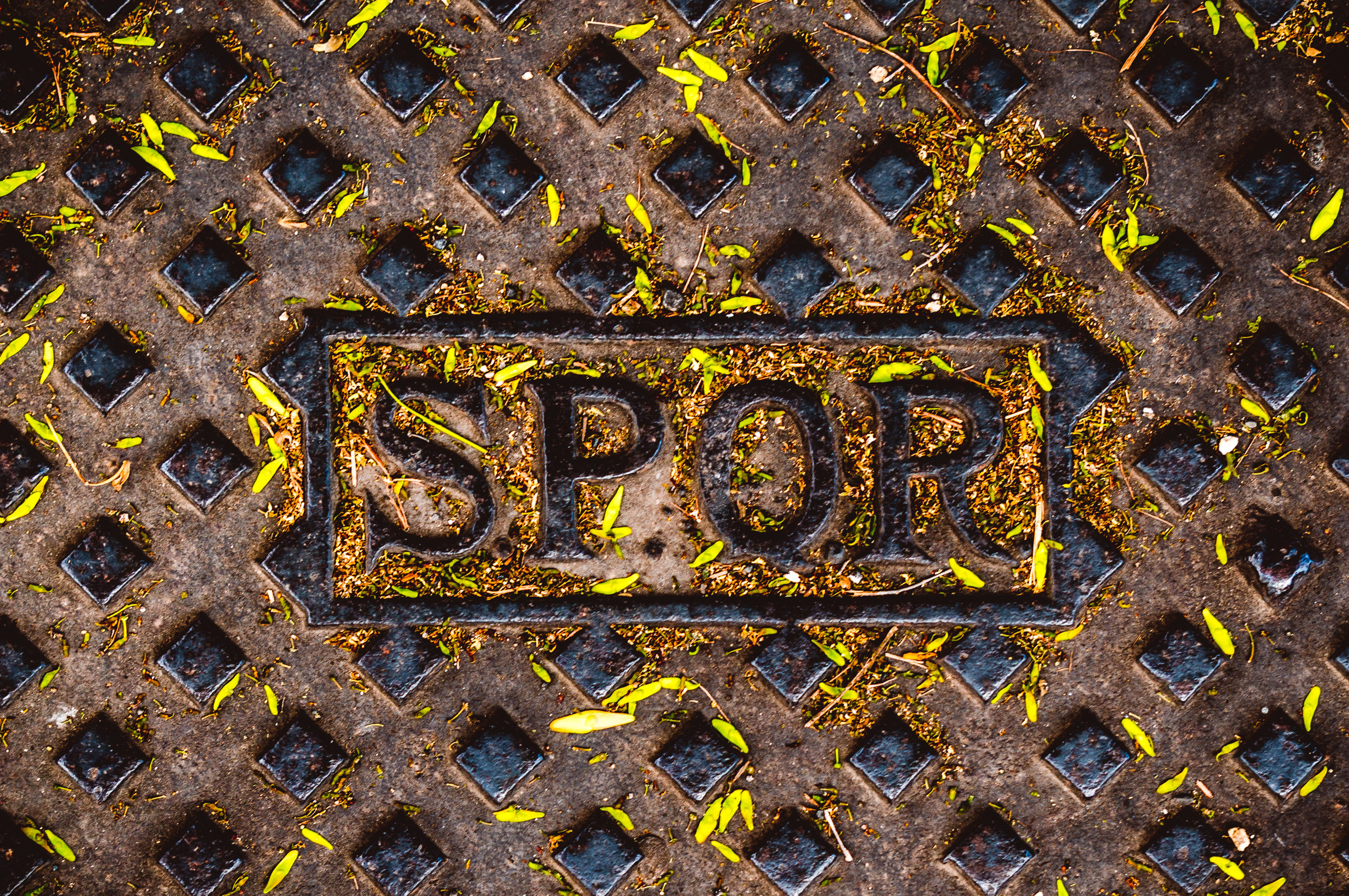 Центральная Европа: Италия, Швейцария, Германия, Бельгия, Нидерланды. Франция. Фотограф в Хабаровске. Фотография за 24 часа