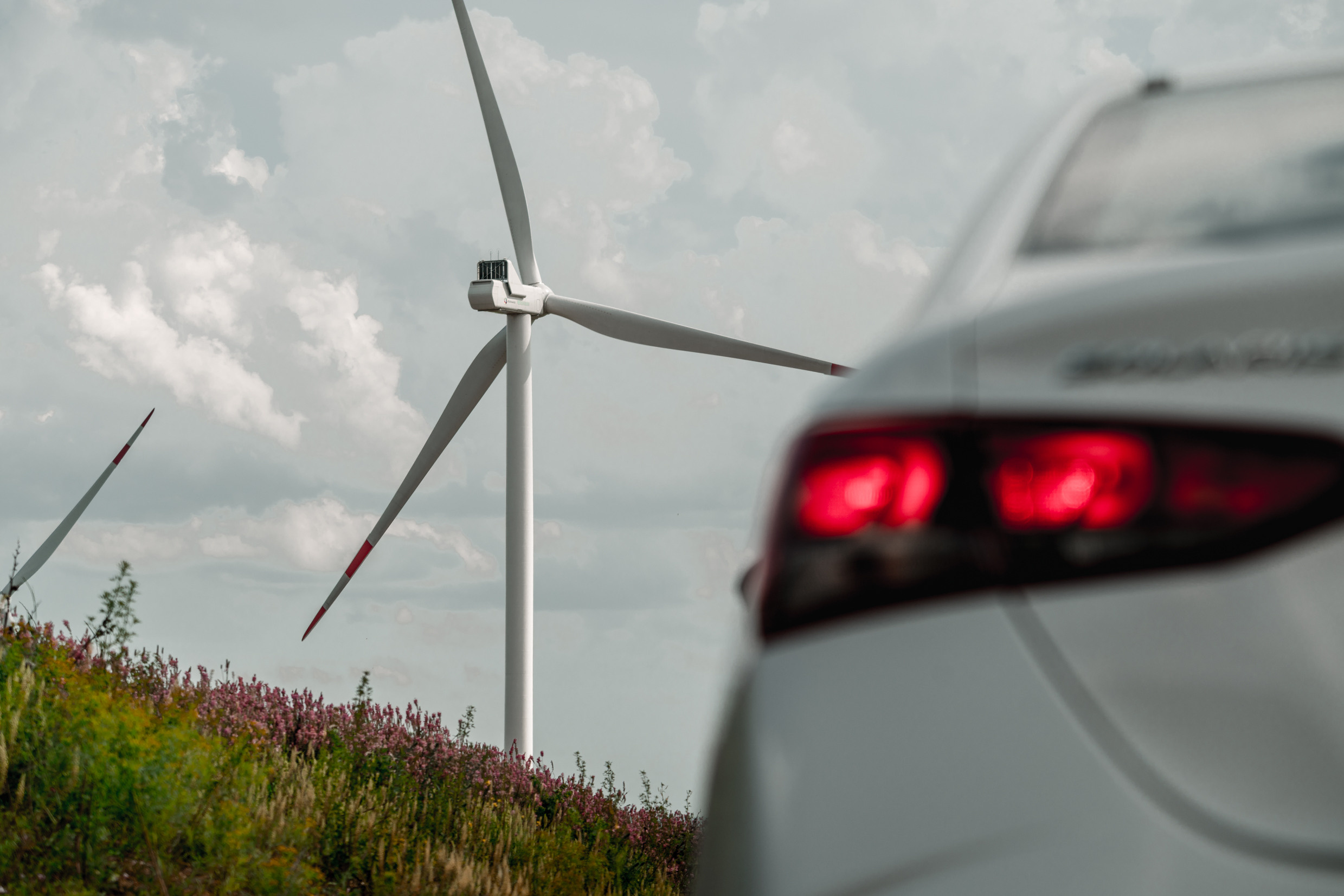 Кавказ: Ростов-на-Дону, Пятигорск, Владикавказ, Махачкала. Фотограф в Хабаровске. Фотография за 24 часа