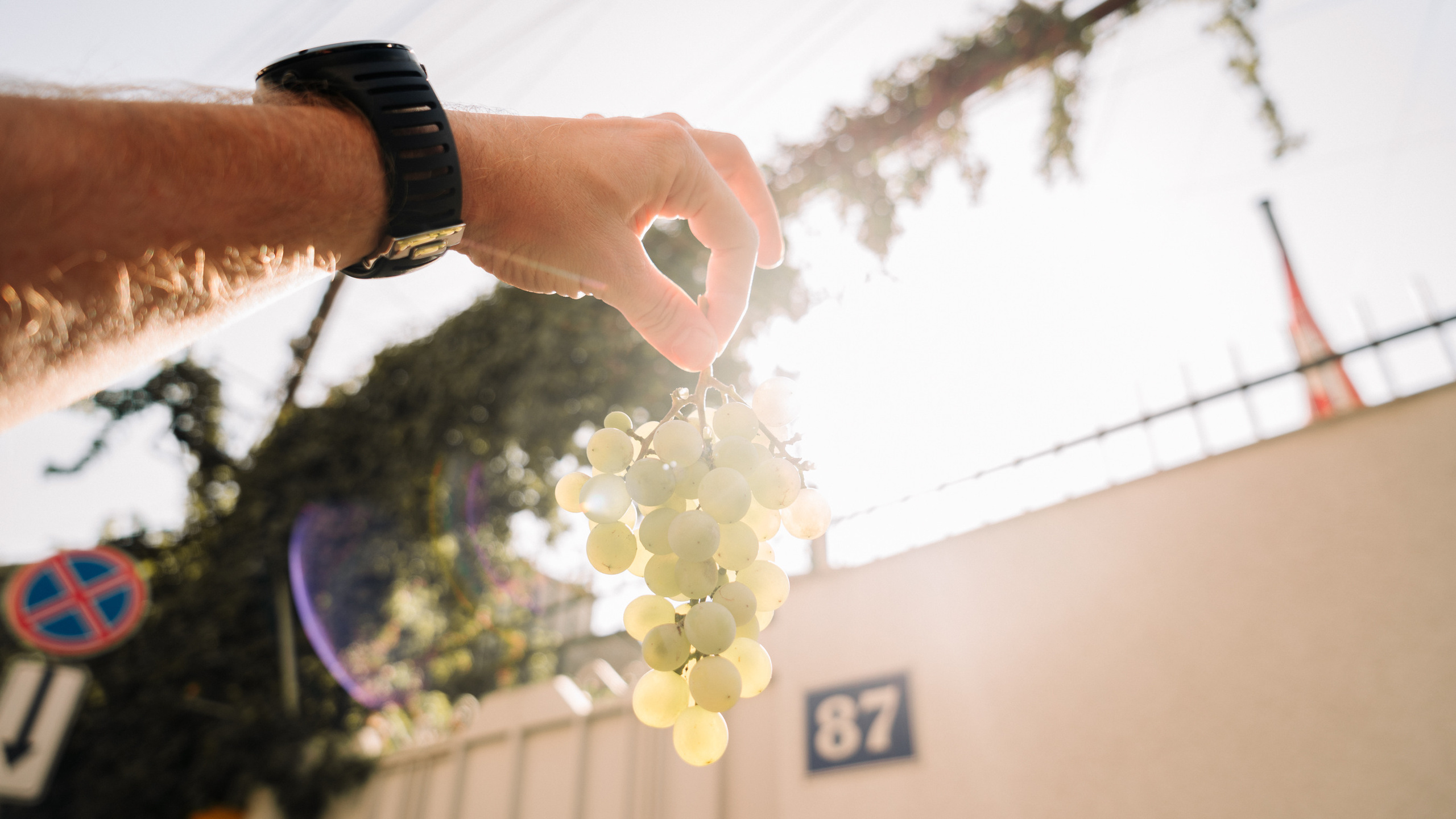 Ближний Восток: Ереван, Гюмри, Батуми, Тбилиси, Стамбул. Фотограф в Хабаровске. Фотография за 24 часа