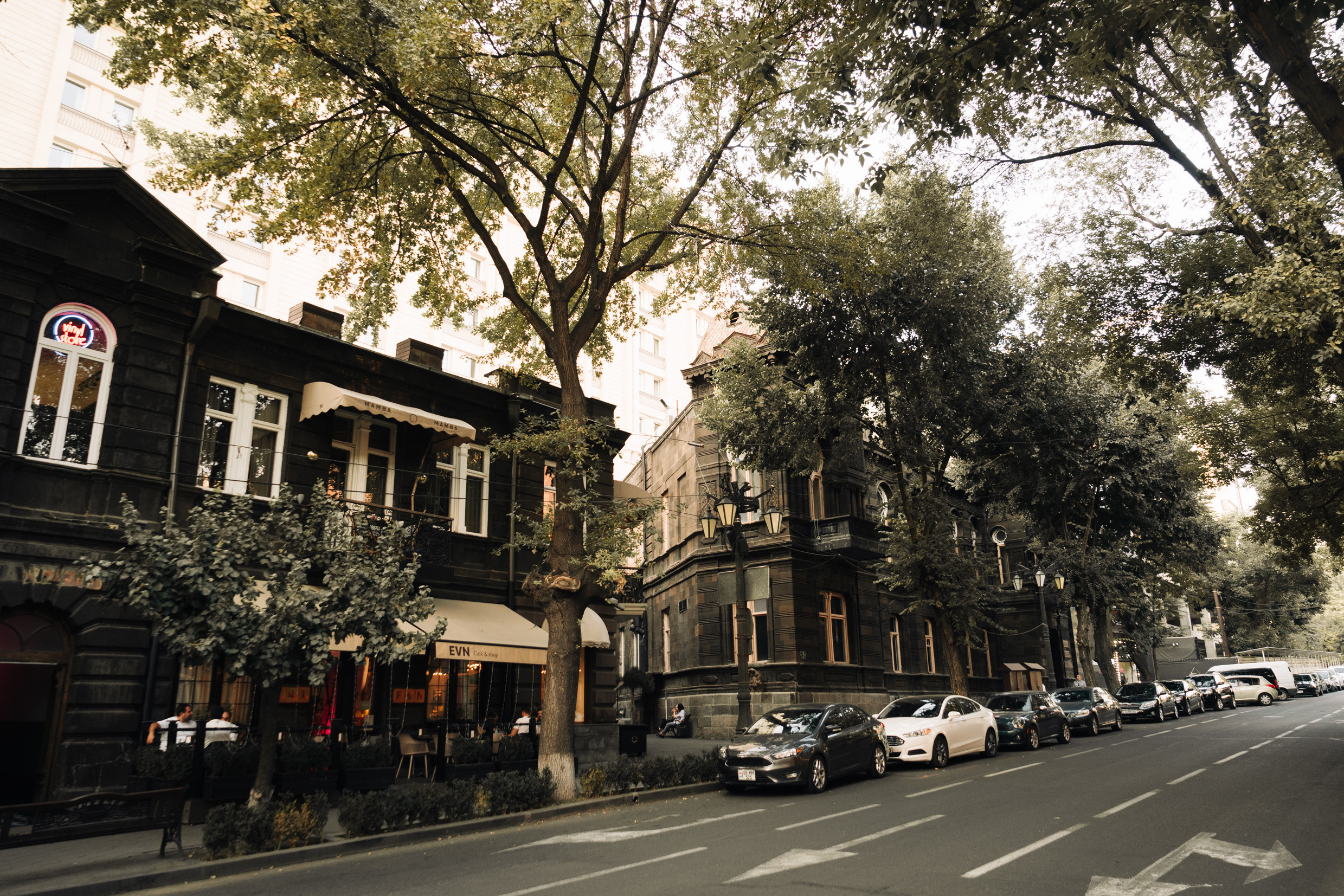 Ближний Восток: Ереван, Гюмри, Батуми, Тбилиси, Стамбул. Фотограф в Хабаровске. Фотография за 24 часа