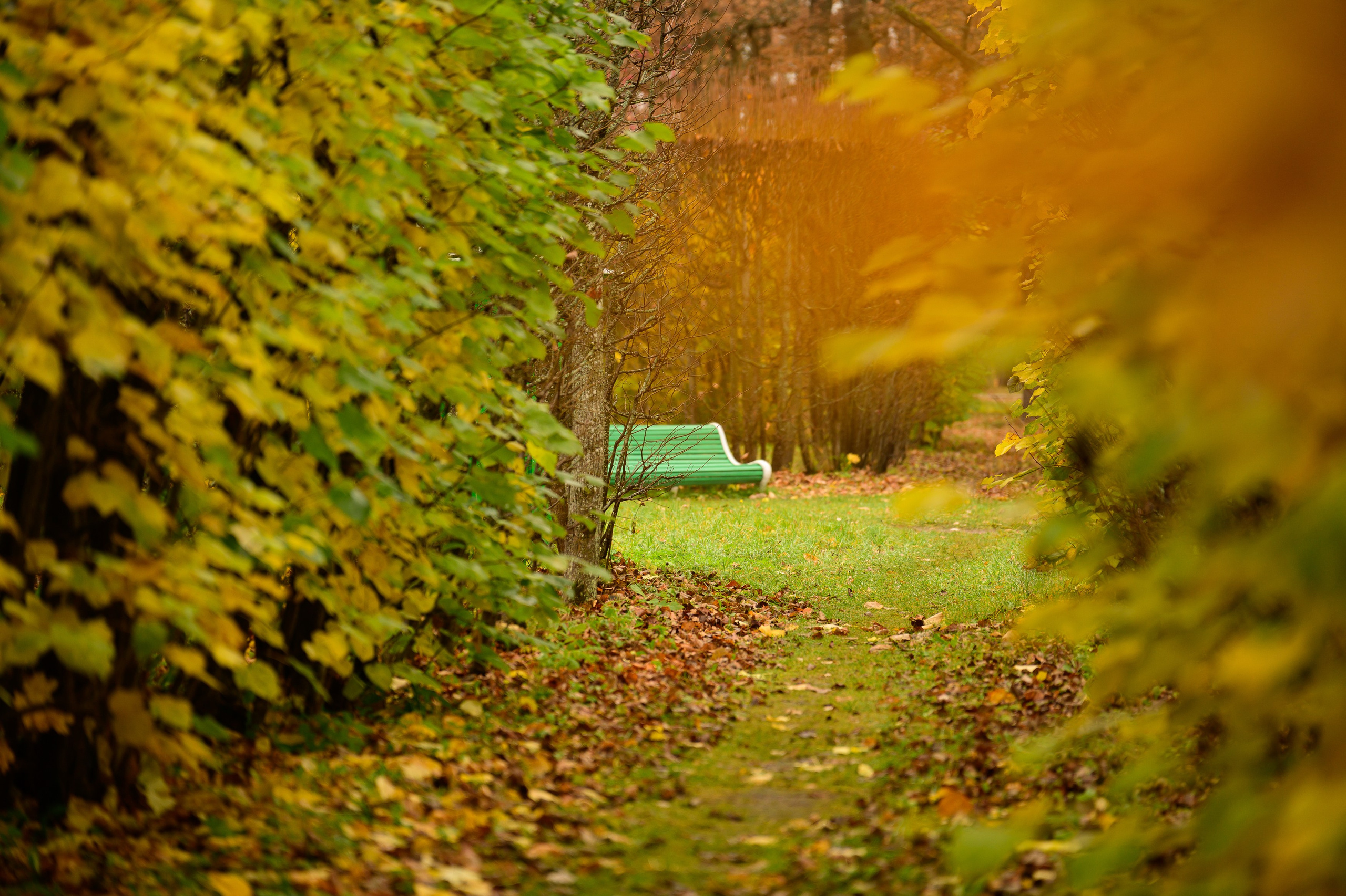 SAINT PETERSBURG | SUBURBS. Personal website of photographer Dmitry Raikin