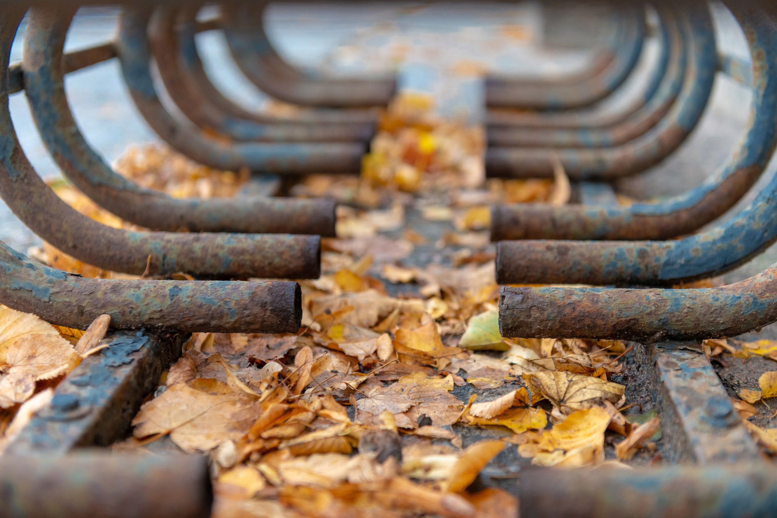 SAINT PETERSBURG. Personal website of photographer Dmitry Raikin