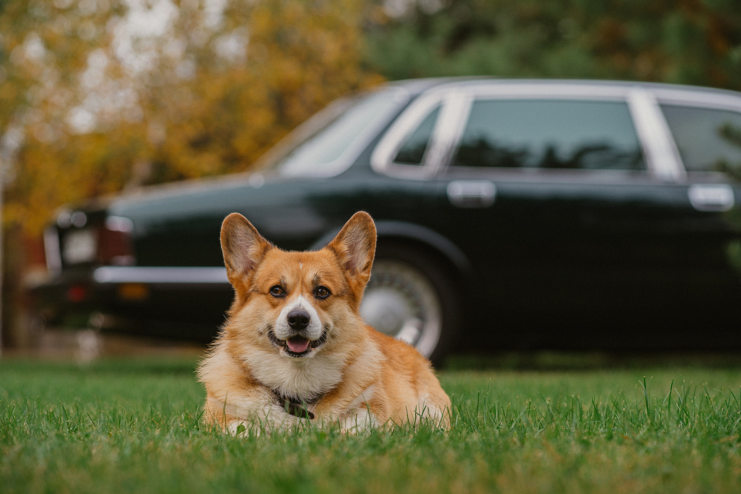 Автомобильное мероприятие совместно с Автокультурой и Jaguar Club. Жуков Илья  свадебный фотограф в Москве