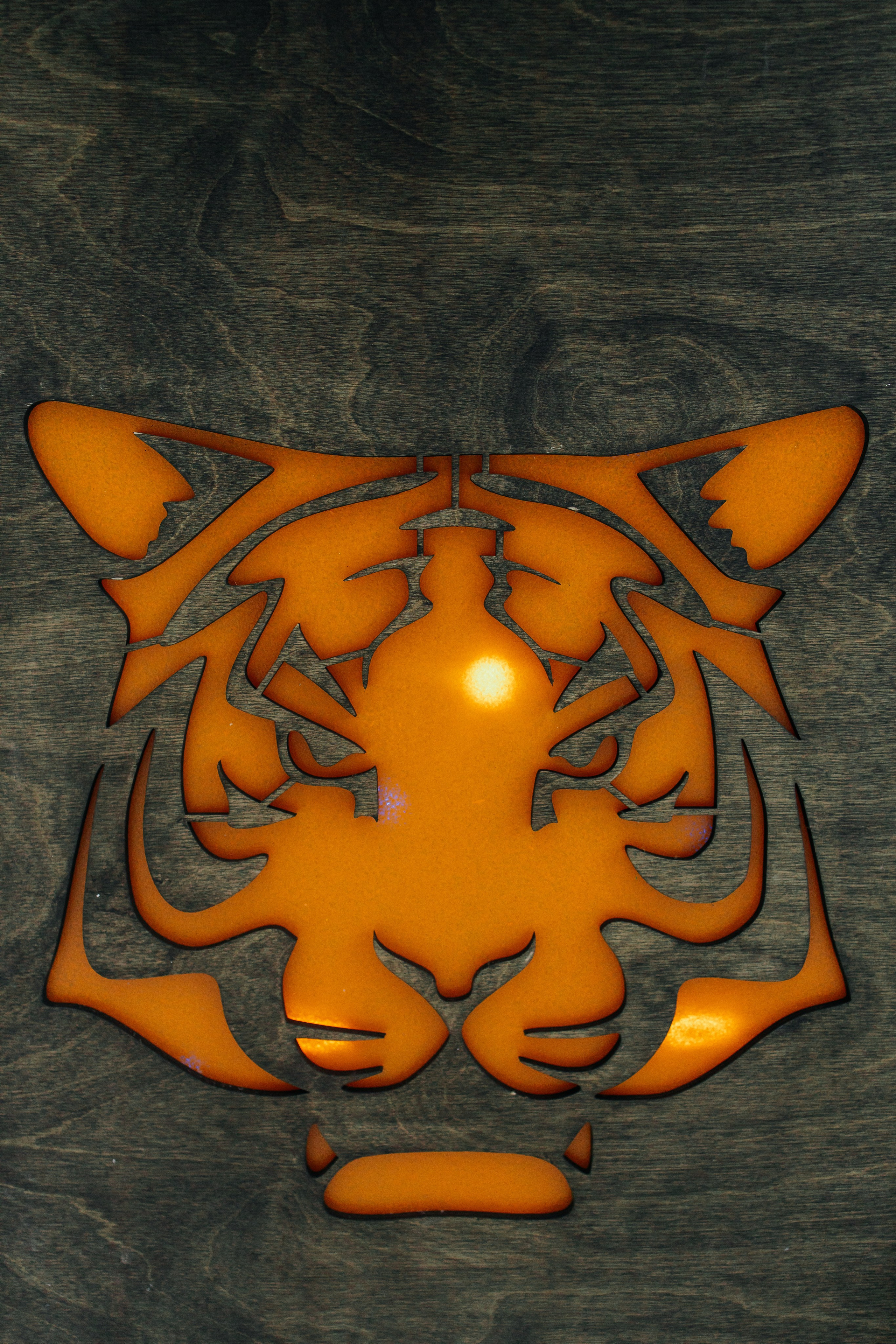 Зимний корпоратив в Царство Королевство. Фотограф в Санкт-Петербурге Виктория Безверхая