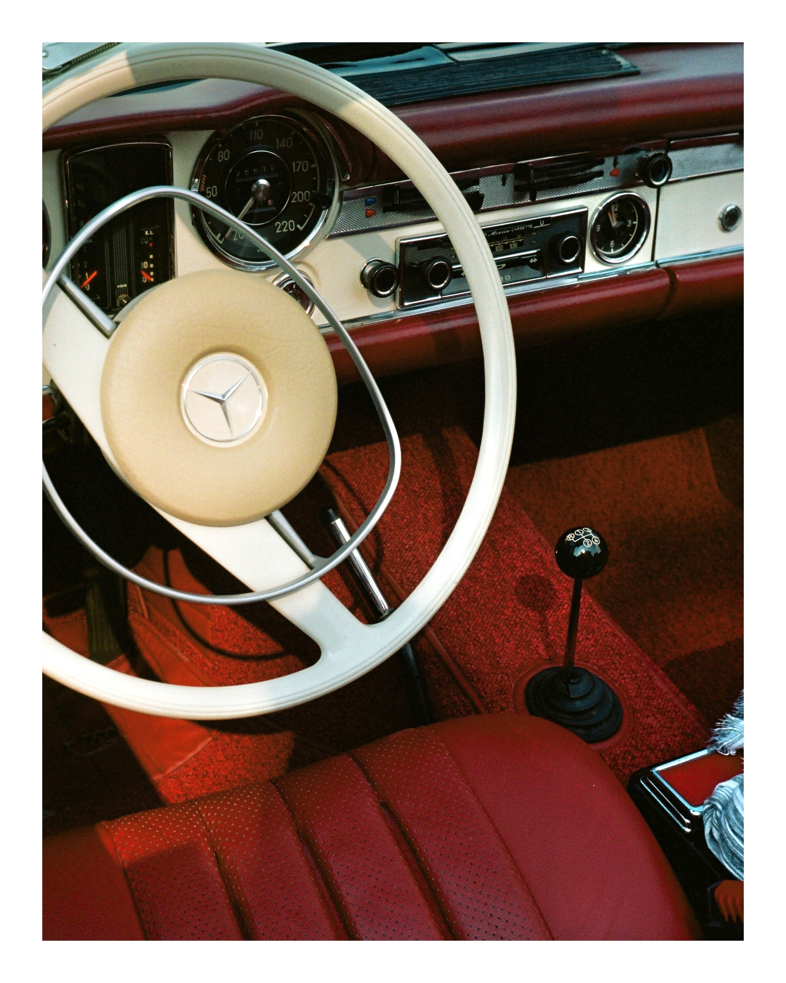 The Grand Picnic (35мм). Katyavasileva