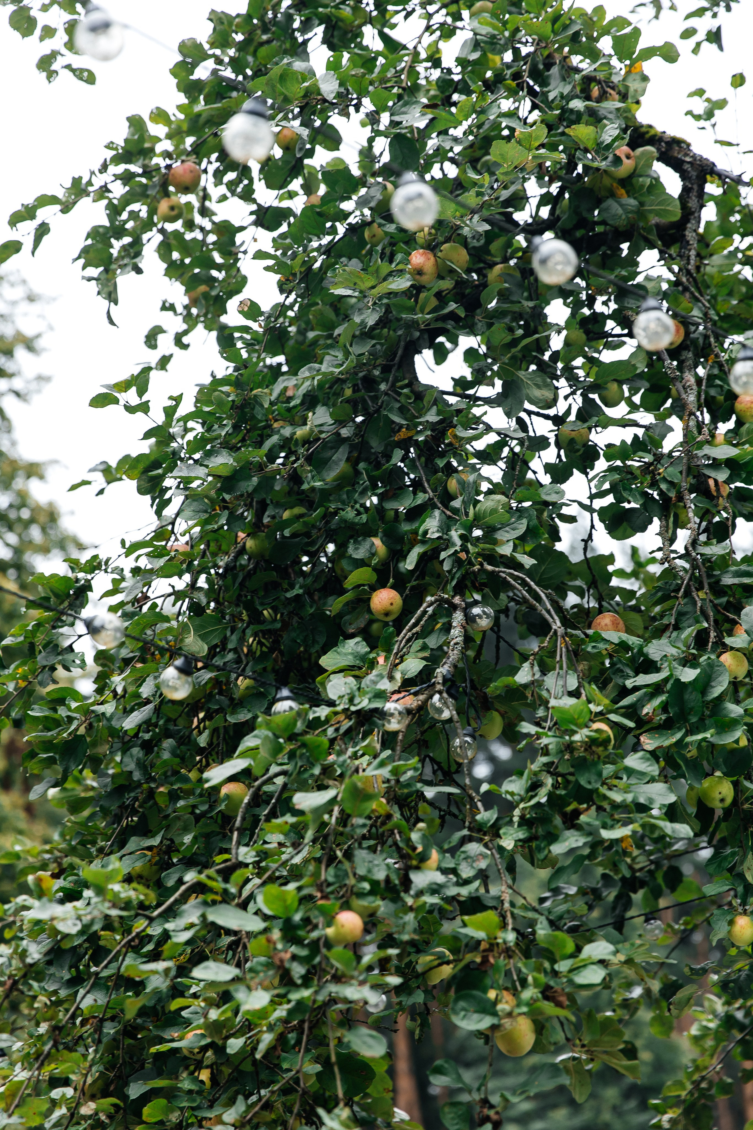 23/08. Свадебный фотограф в Москве Виктория Арехова