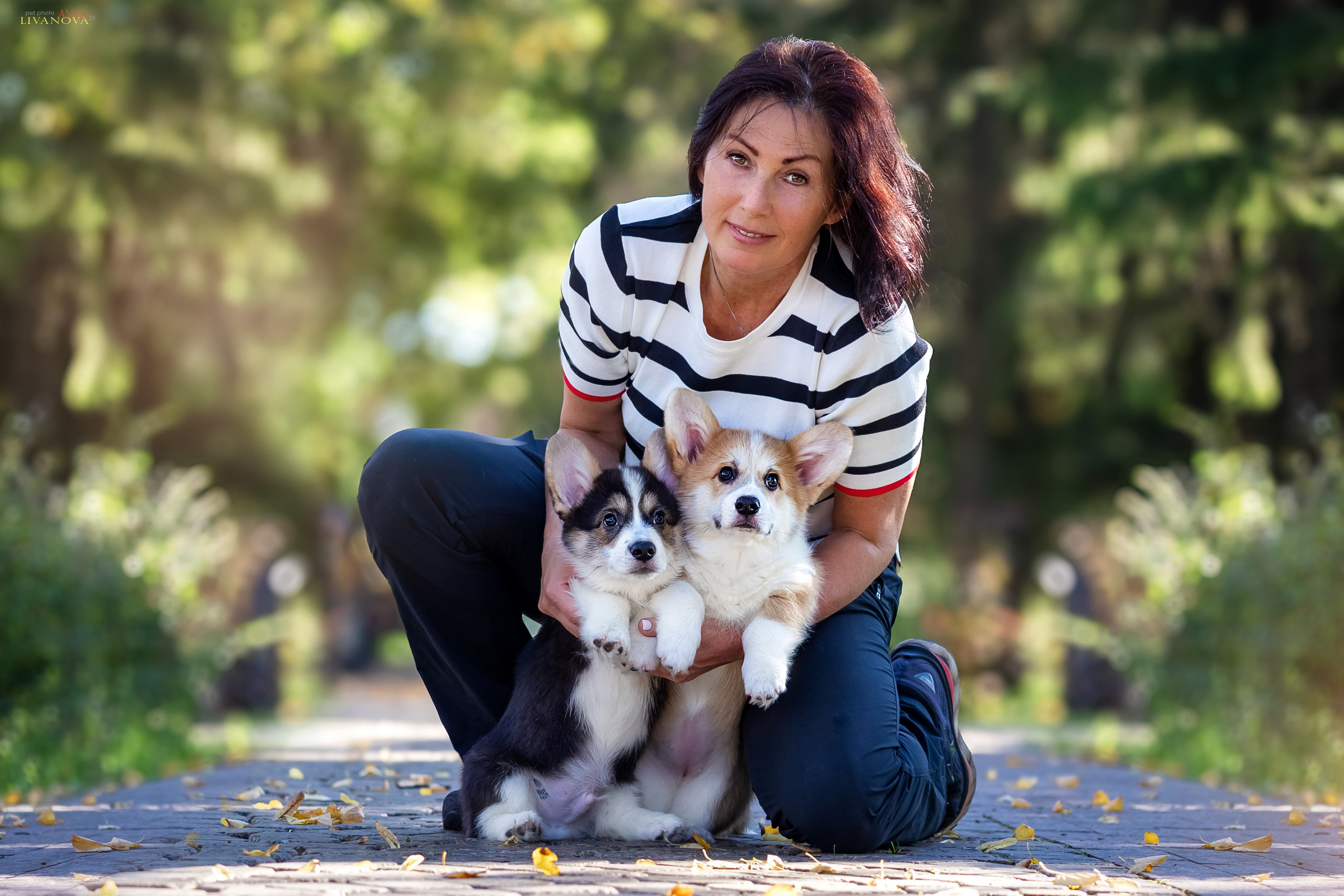 Коржики. Фотограф анималист Аня Ливанова | Рыбинск