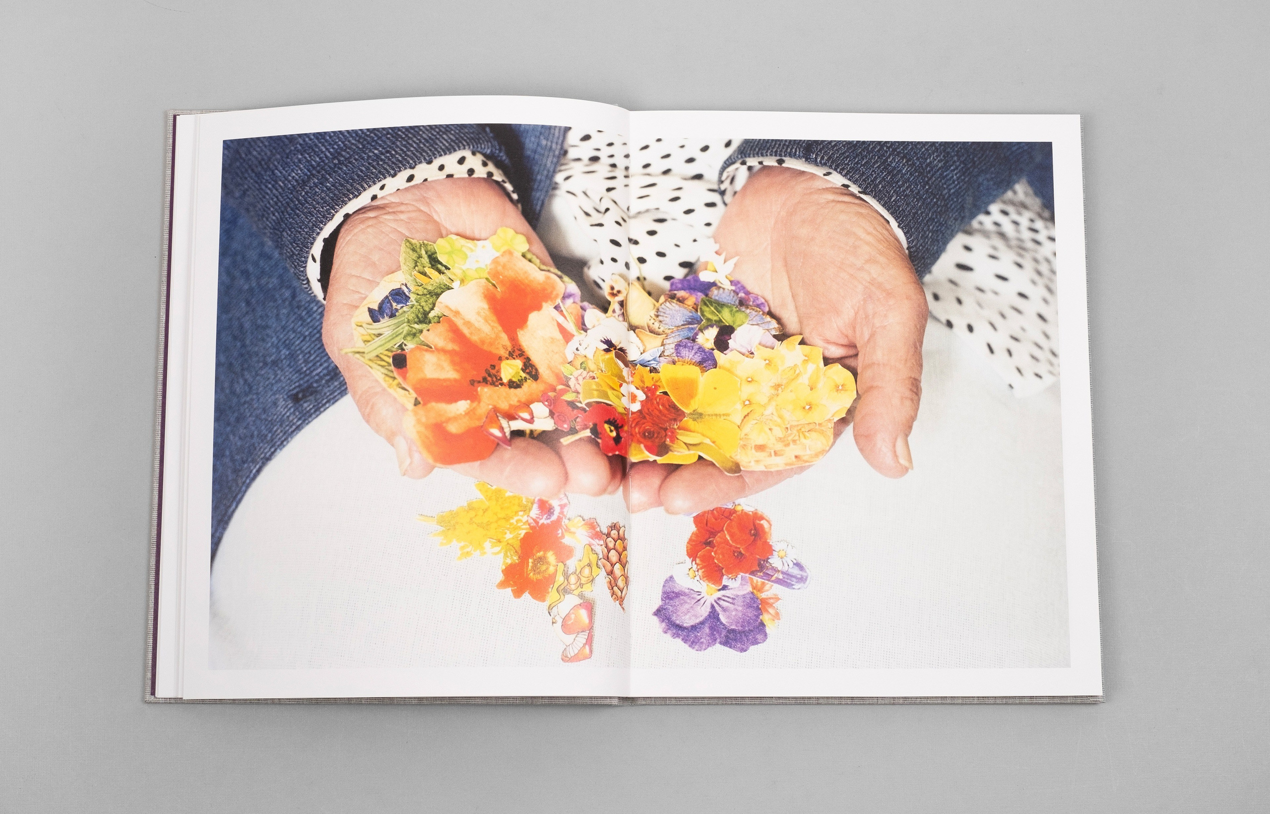 ОБЗОР АКТУАЛЬНЫХ ФОТОКНИГ: Тоос и Тайни. Самоорганизация Низина