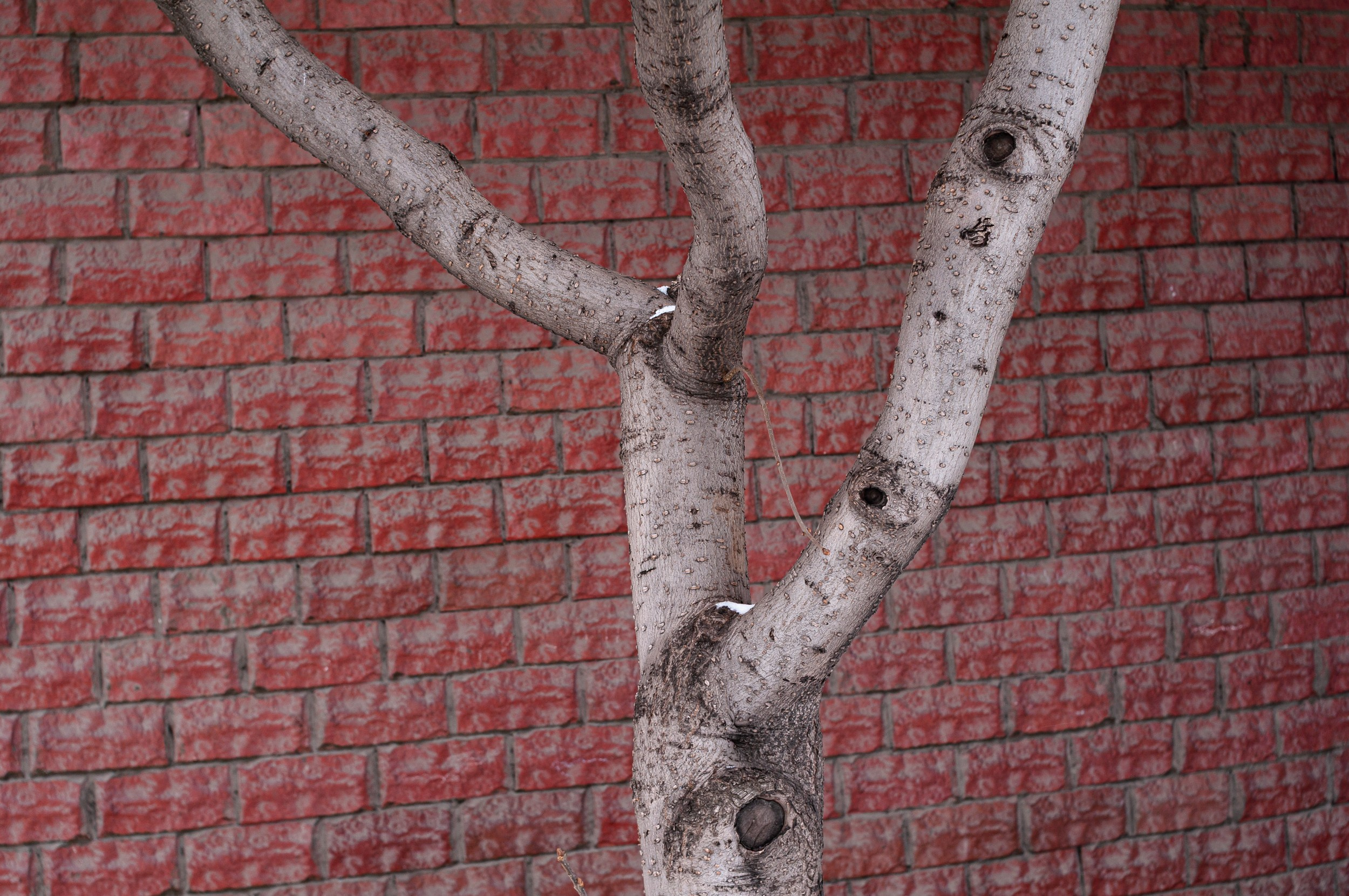 Красноярск. Nikoilay Pak