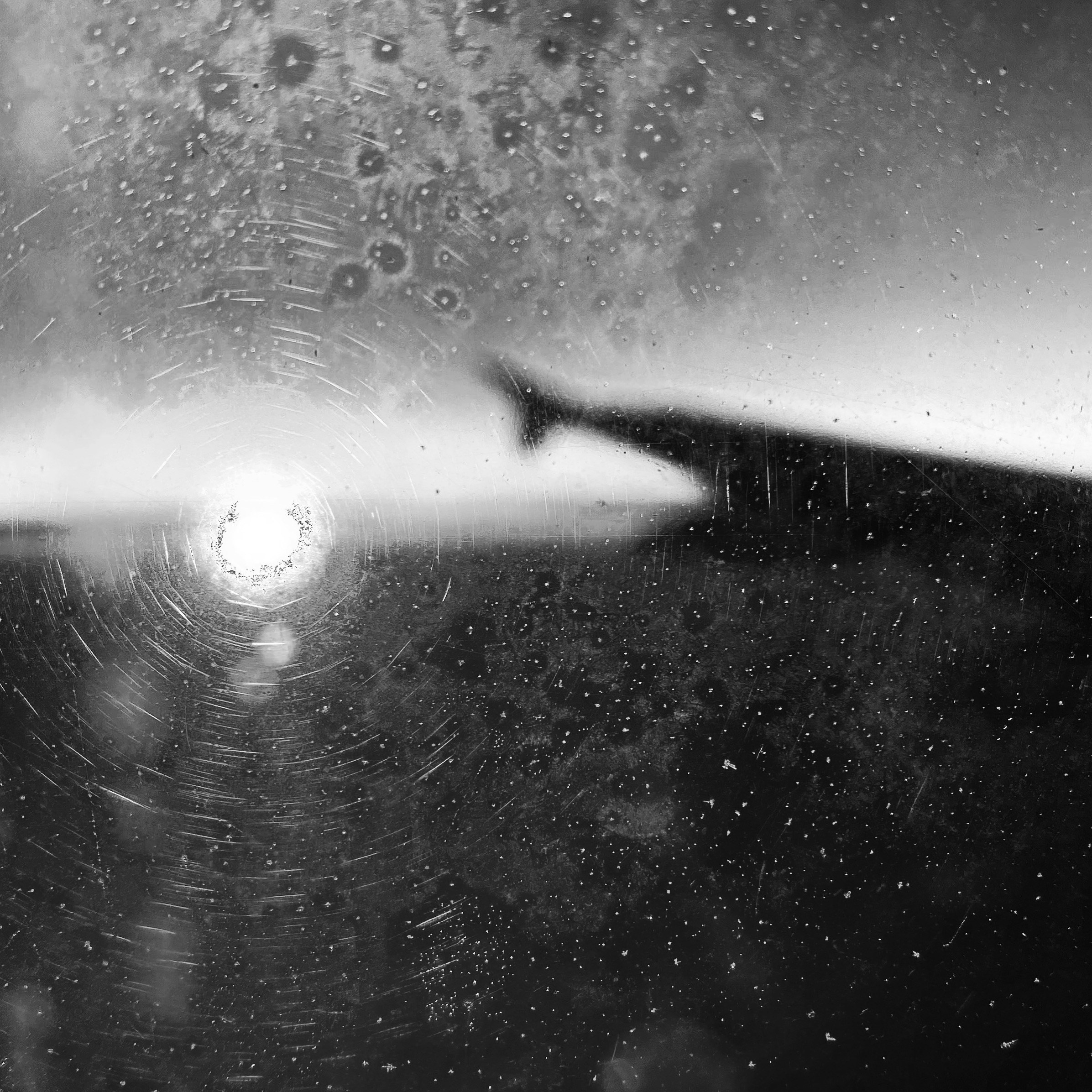 Работы с телефона. Свадебный фотограф в Москве Сафонова Анна