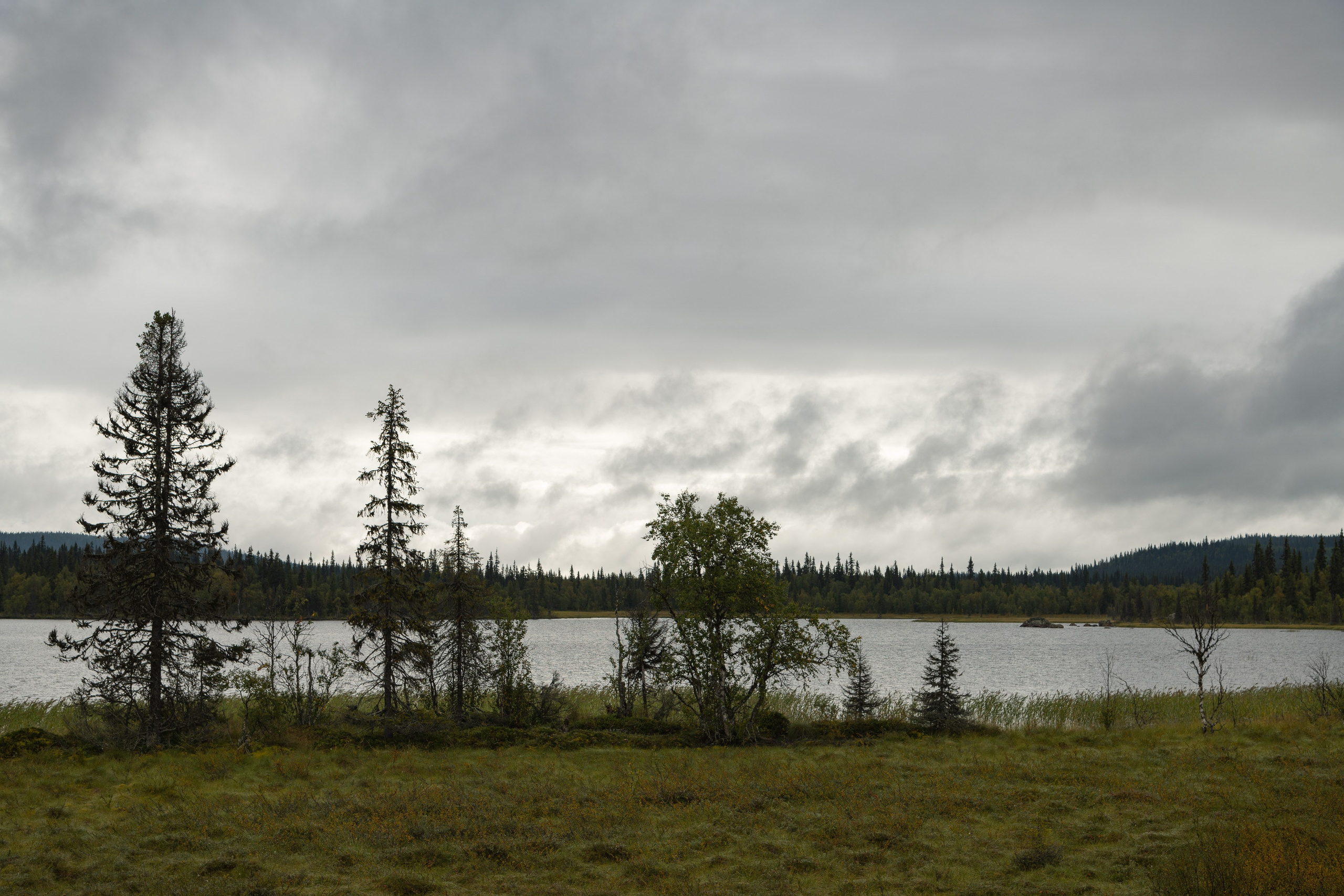 Норвегия. Северные Ночи