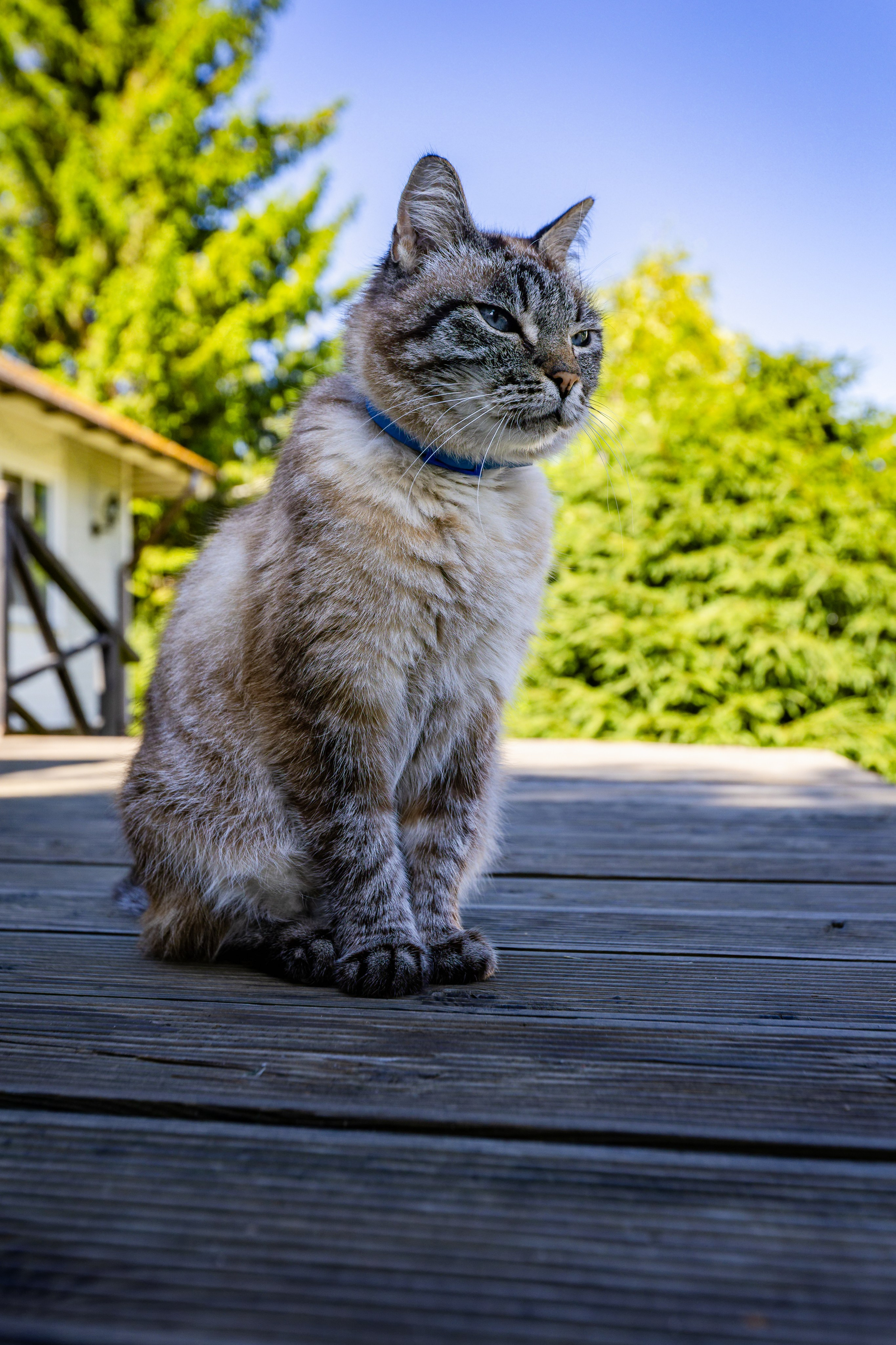 Гостевые дома «Уксунлахти» (деревня Ууксу). Аэросъемка. Фото и Видео в Карелии. Алексей Фрилунд