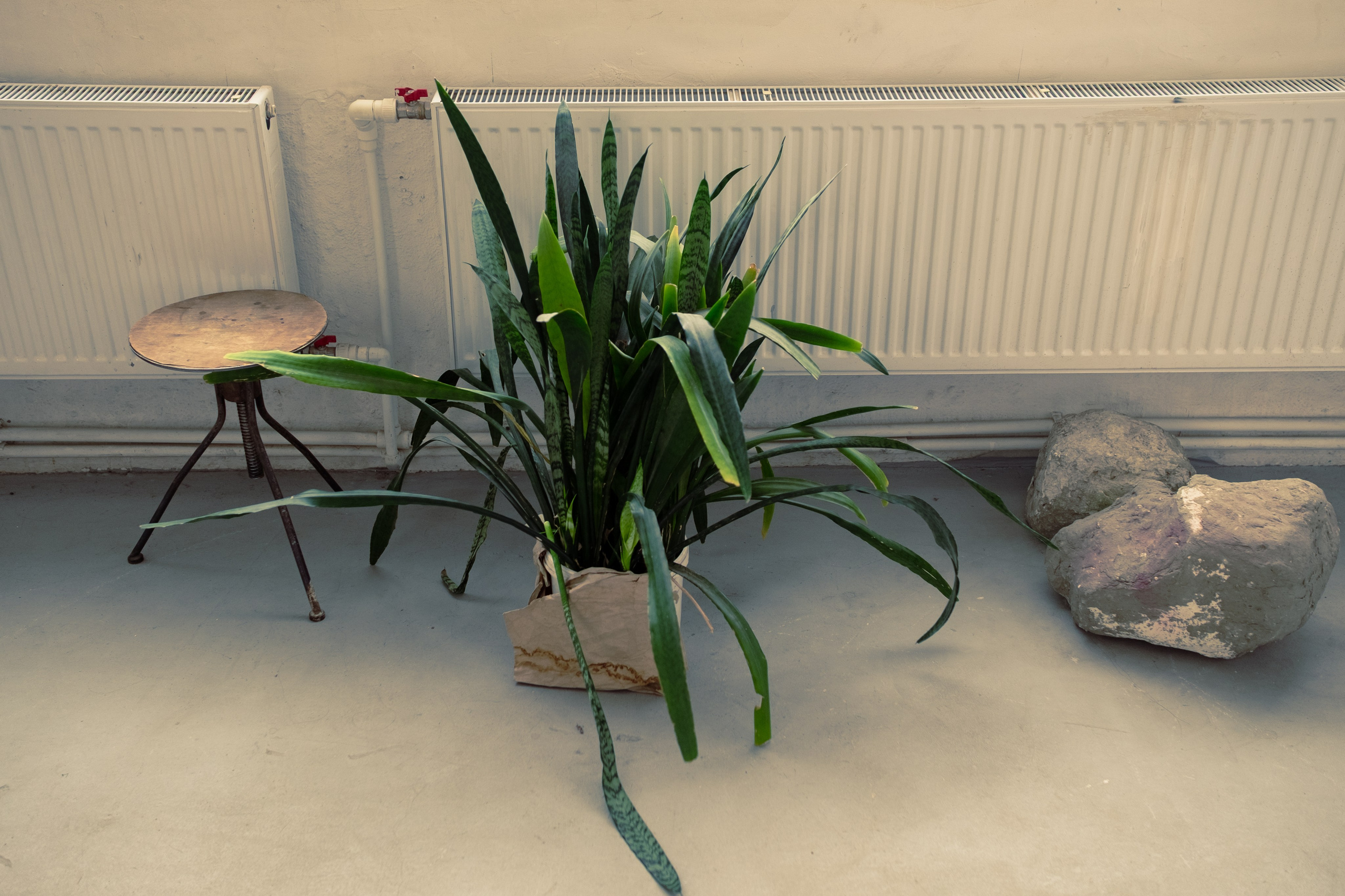 Питер Разное. Портретный фотограф DanilNabody