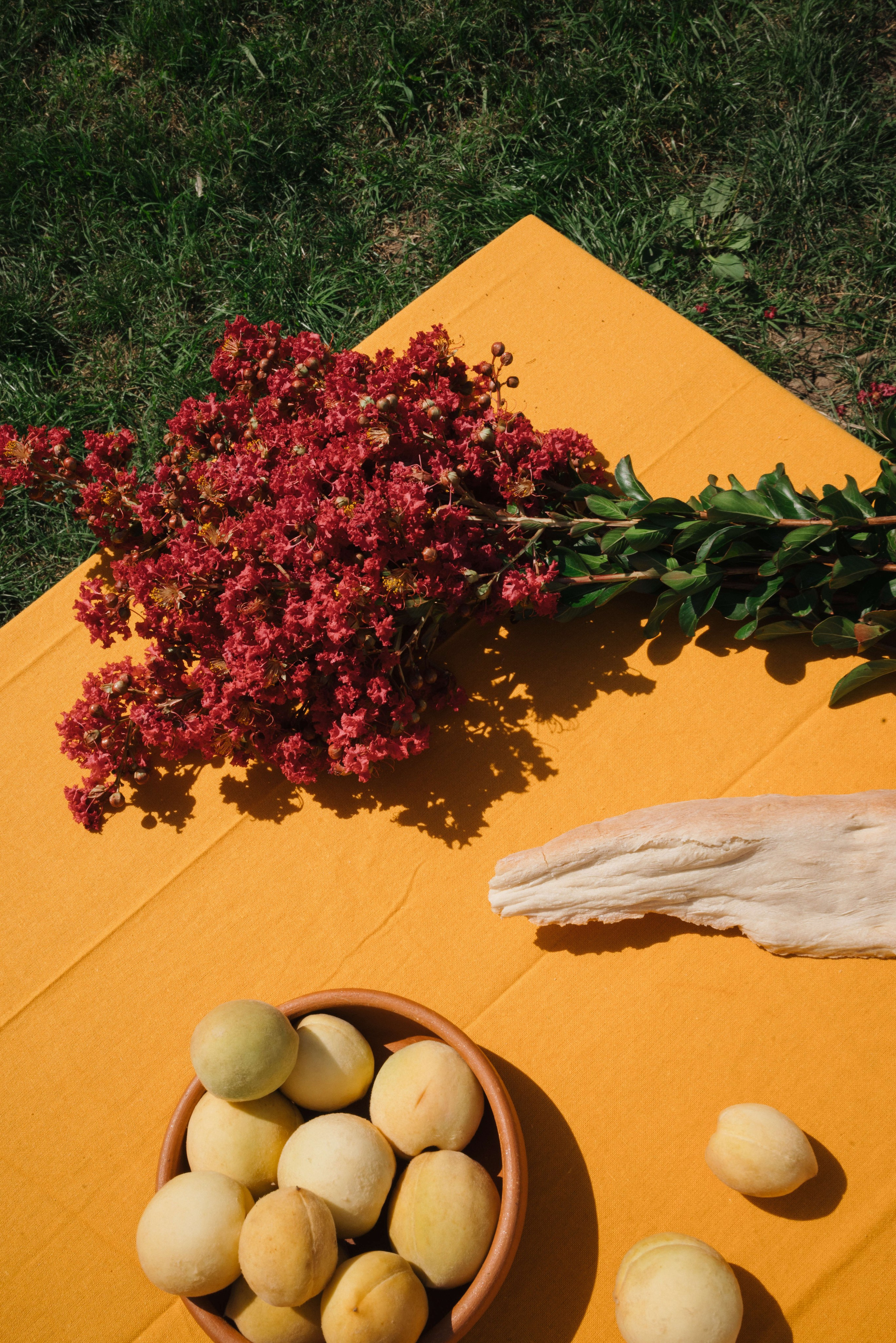 Съемка для винодельни Bakurtsokheli. Портретный и свадебный фотограф в Тбилиси • xeniqo