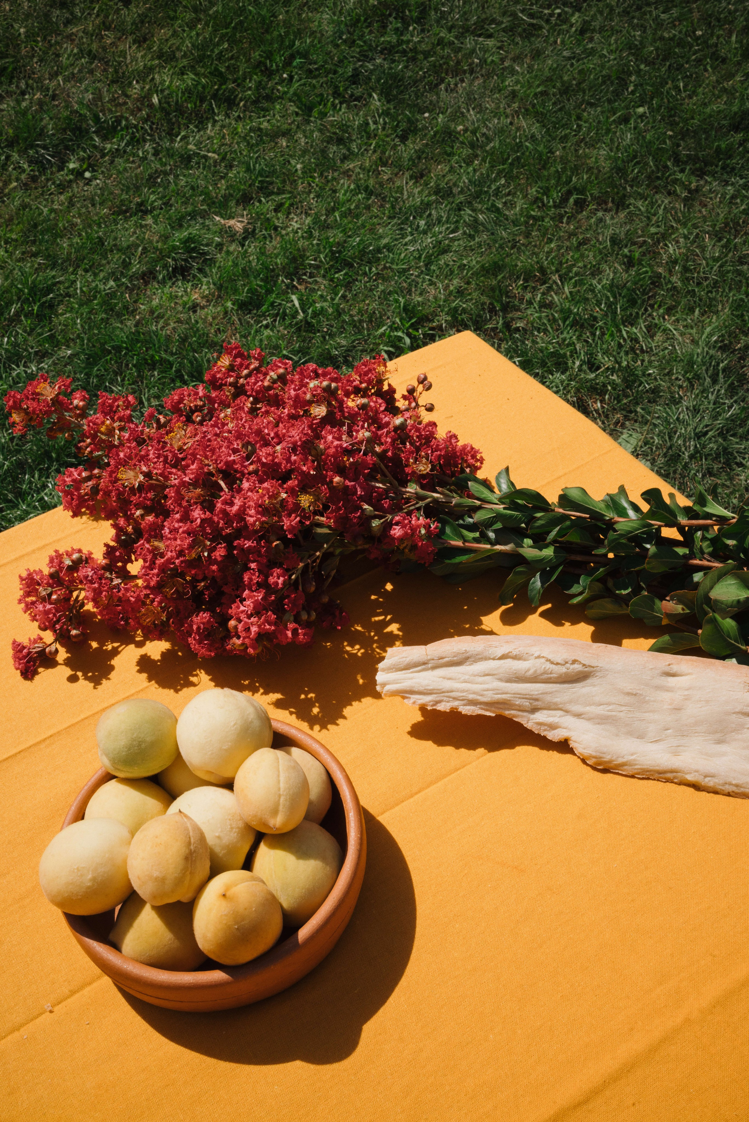Съемка для винодельни Bakurtsokheli. Портретный и свадебный фотограф в Тбилиси • xeniqo