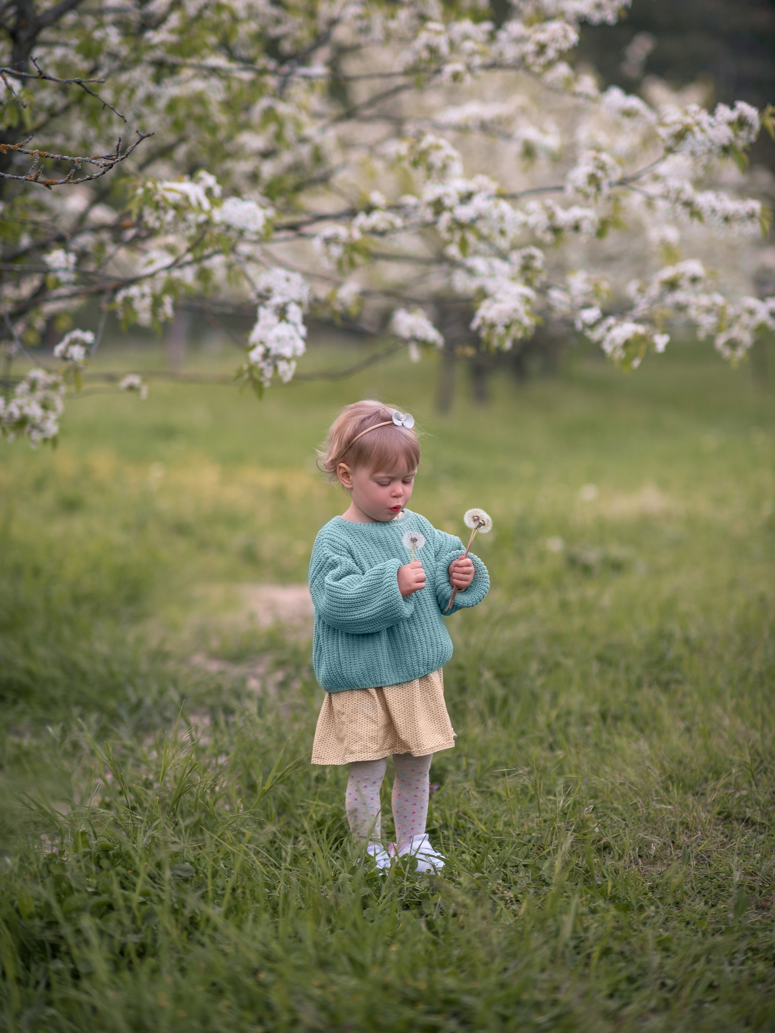Детская фотосессия в цветущем саду. Фотограф в Севастополе Погребняк Александра. Уточнить, зарезервировать дату для фотосъемки +79788481042