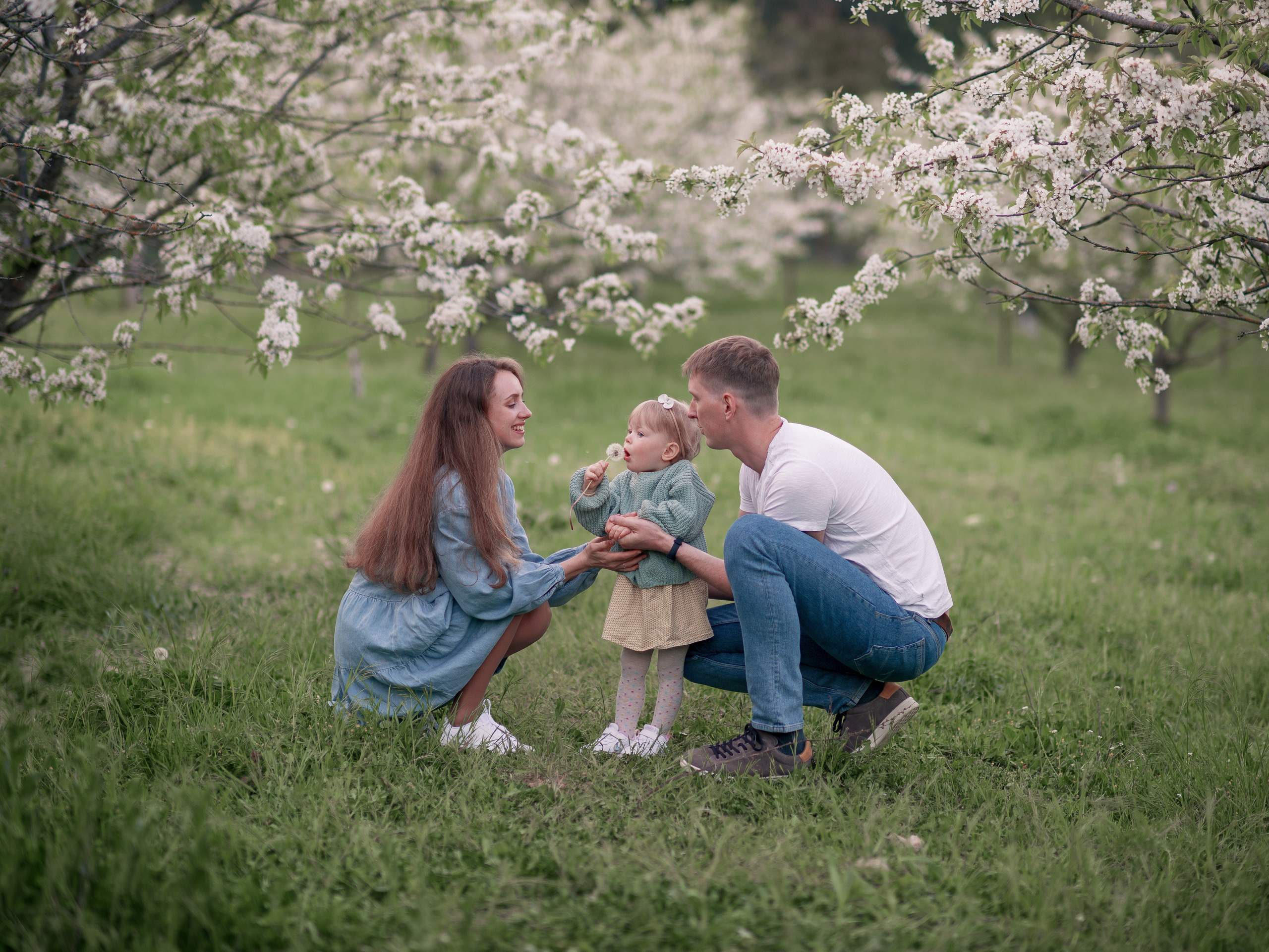 Семейная фотосессия в цветущем черешневом саду в Севастополе. Ознакомиться с портфолио, уточнить условия и цены можно на сайте или по телефону, указанному в разделе "Контакты"