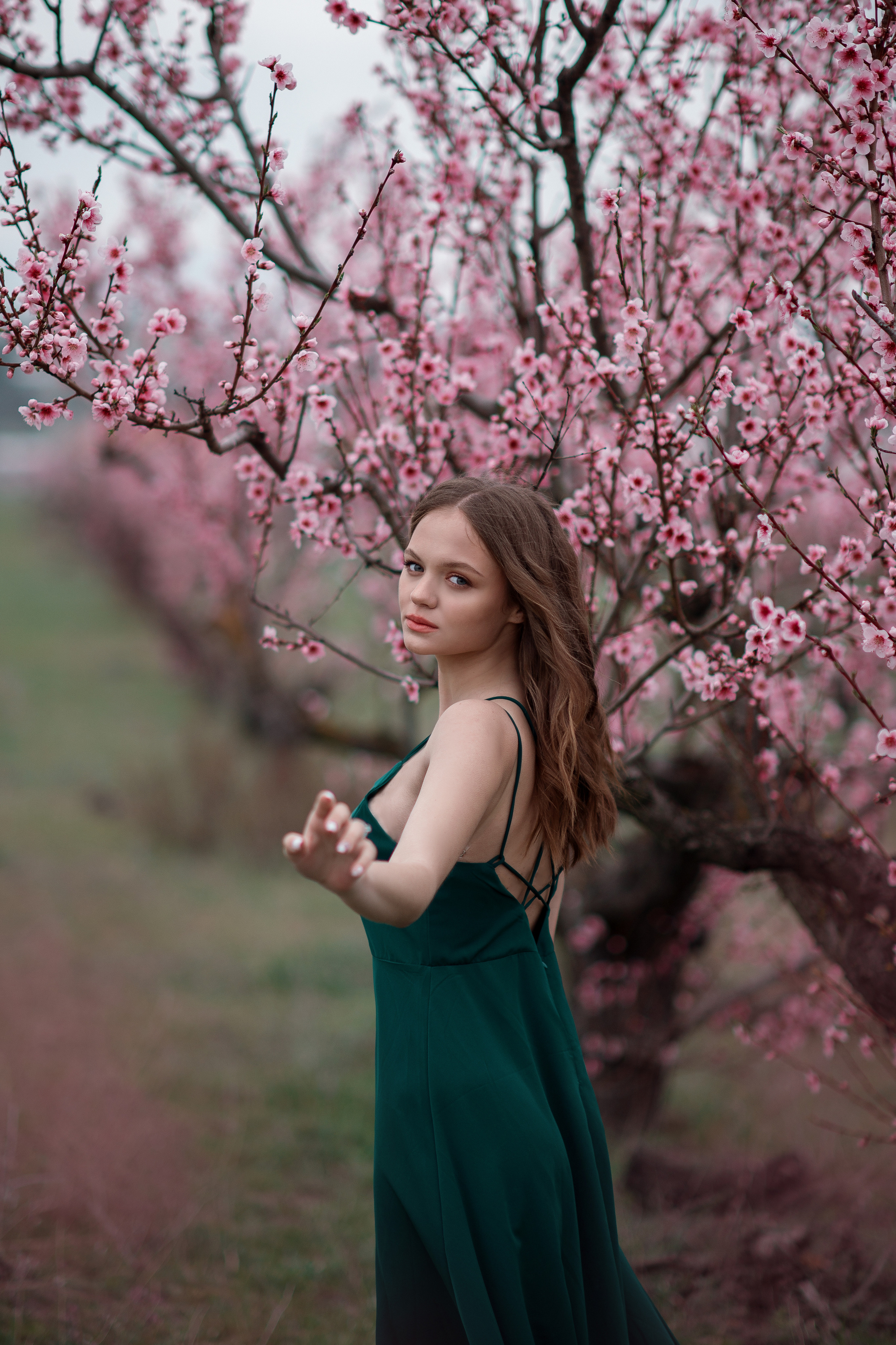 Портретная фотосъемка в розовом персиковом саду в Крыму. Ознакомиться с портфолио, уточнить условия и цены можно на сайте или по телефону, указанному в разделе "Контакты", предварительная запись по телефону +79788481042