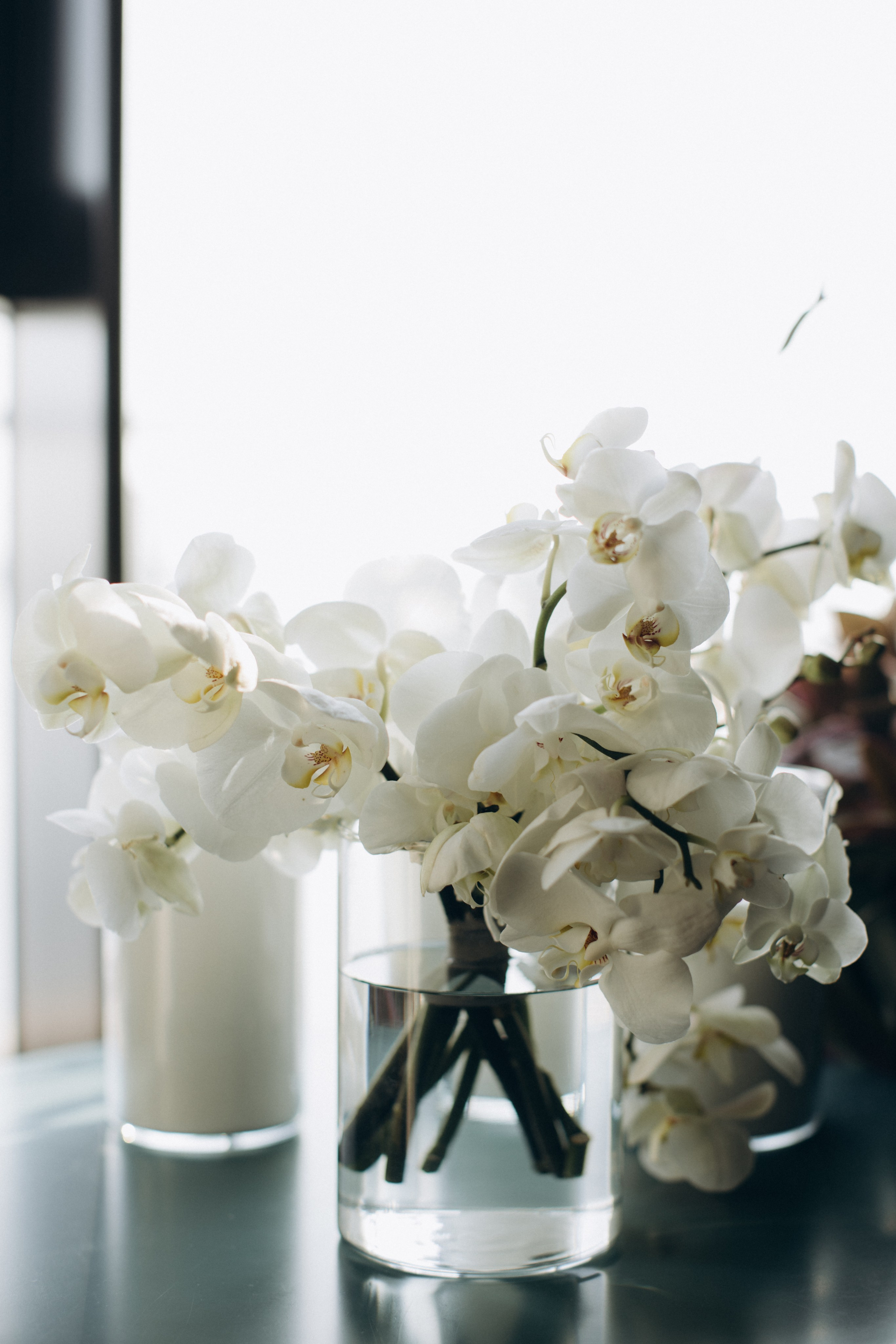 Андрей и Надежда. Свадьба. Свадебный фотограф Волгоград | Тарасова Светлана