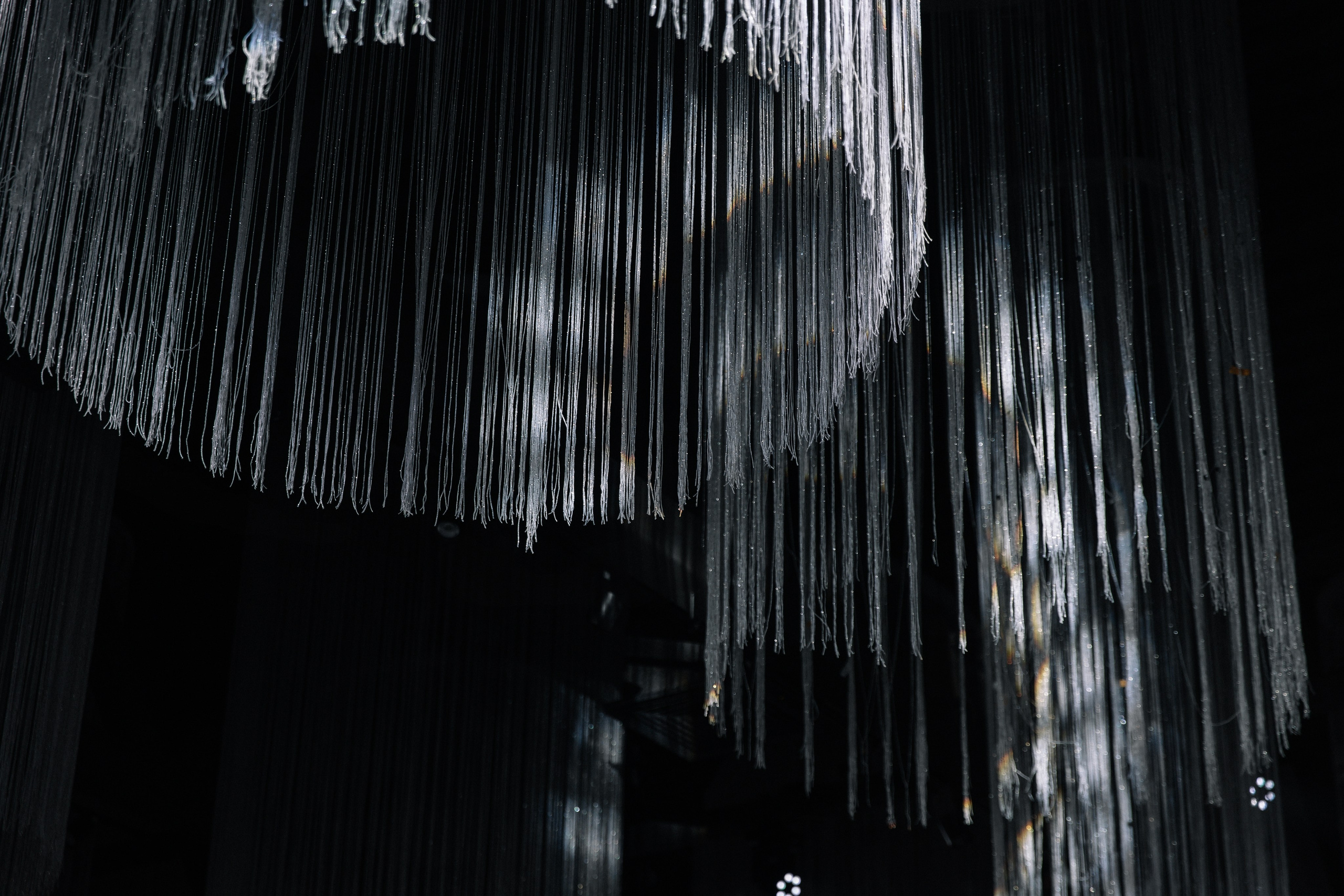 Все начинается с любви!. Свадебный фотограф Алина Хабарова