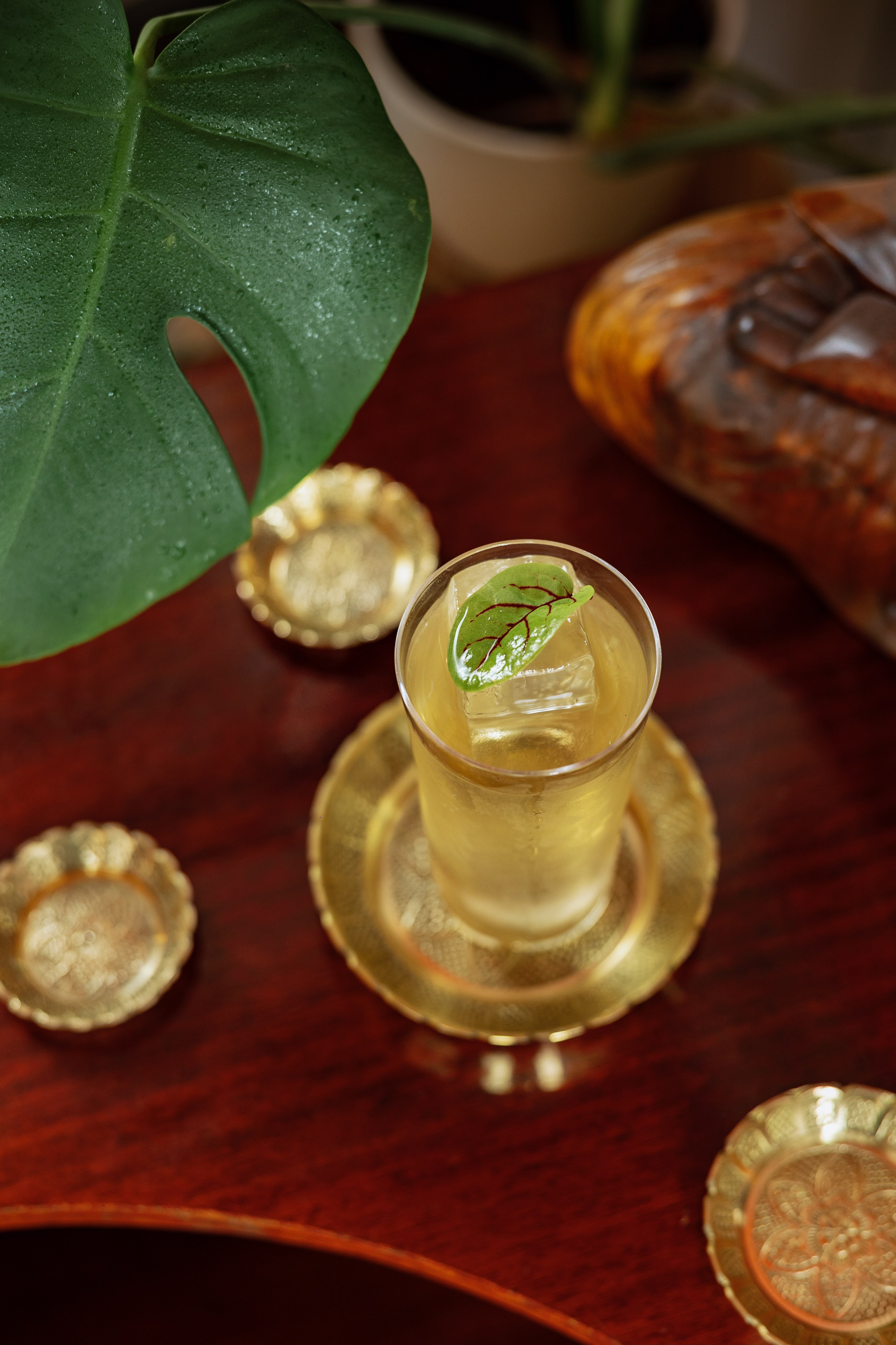 «Шалом & Шанти». Фото и видео контент за одну съемку — Веретенников Егор