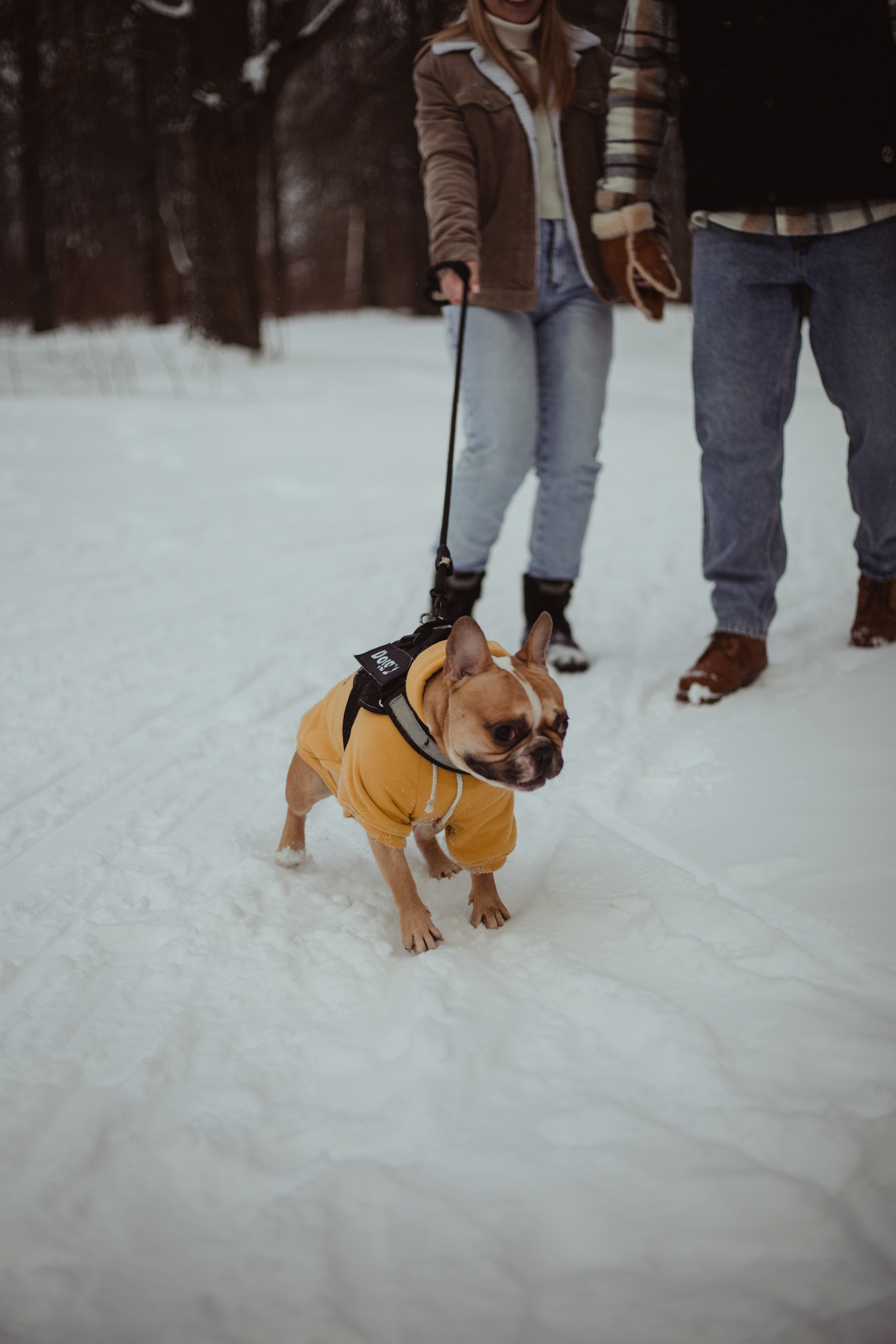 L&K&S. Фотограф и видеограф Мария Банщикова, Солнечногорск, Москва