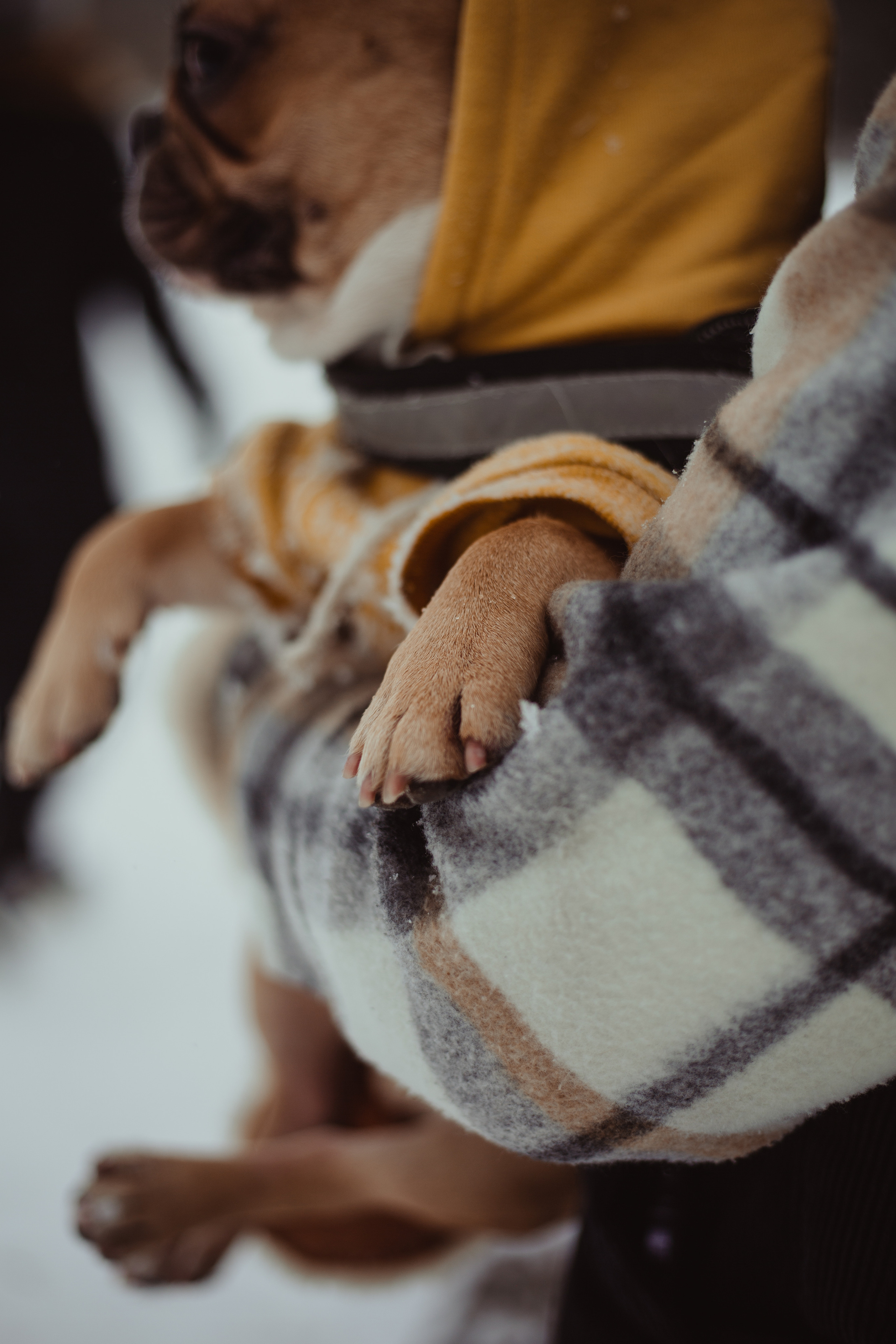 L&K&S. Фотограф и видеограф Мария Банщикова, Солнечногорск, Москва