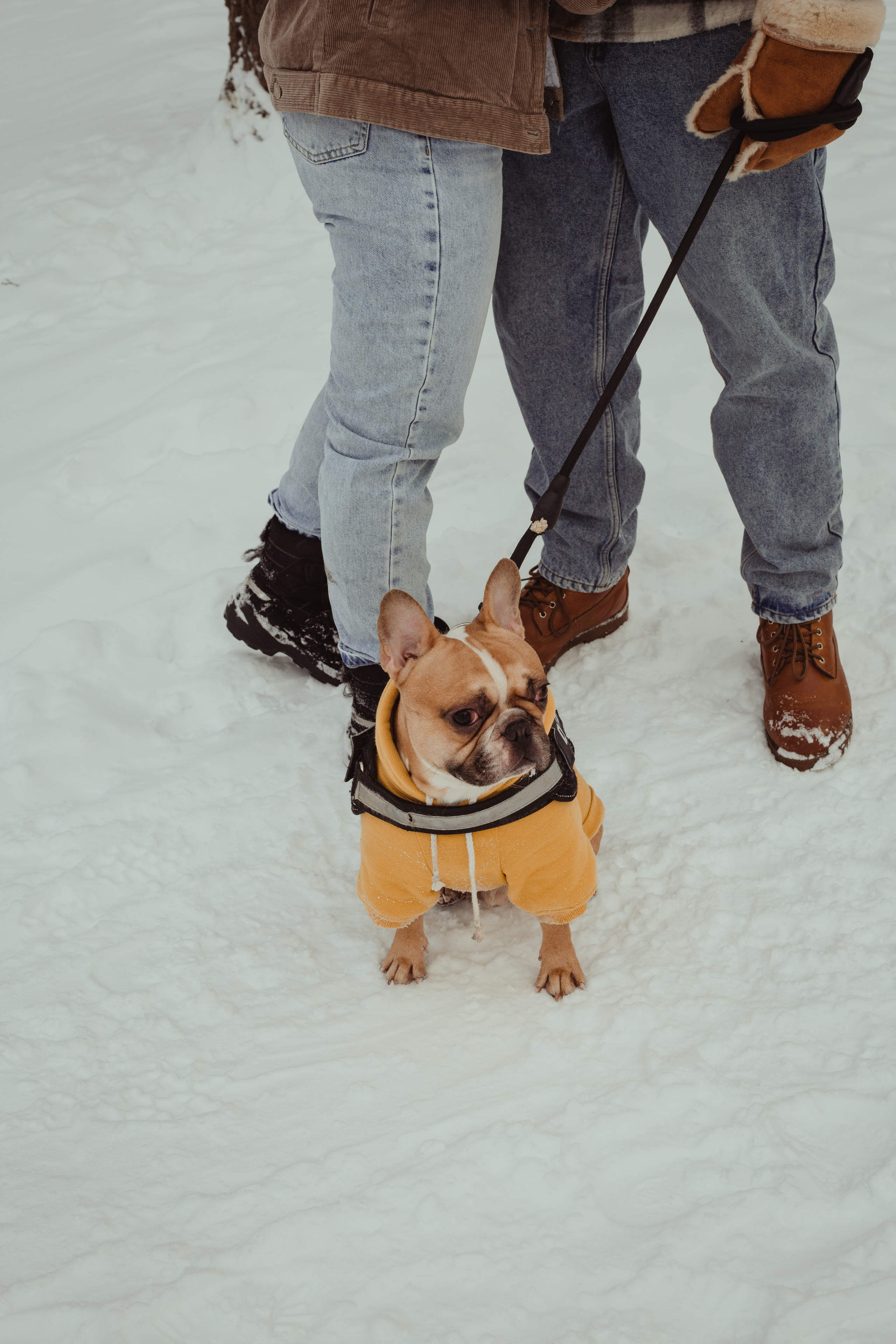 L&K&S. Фотограф и видеограф Мария Банщикова, Солнечногорск, Москва