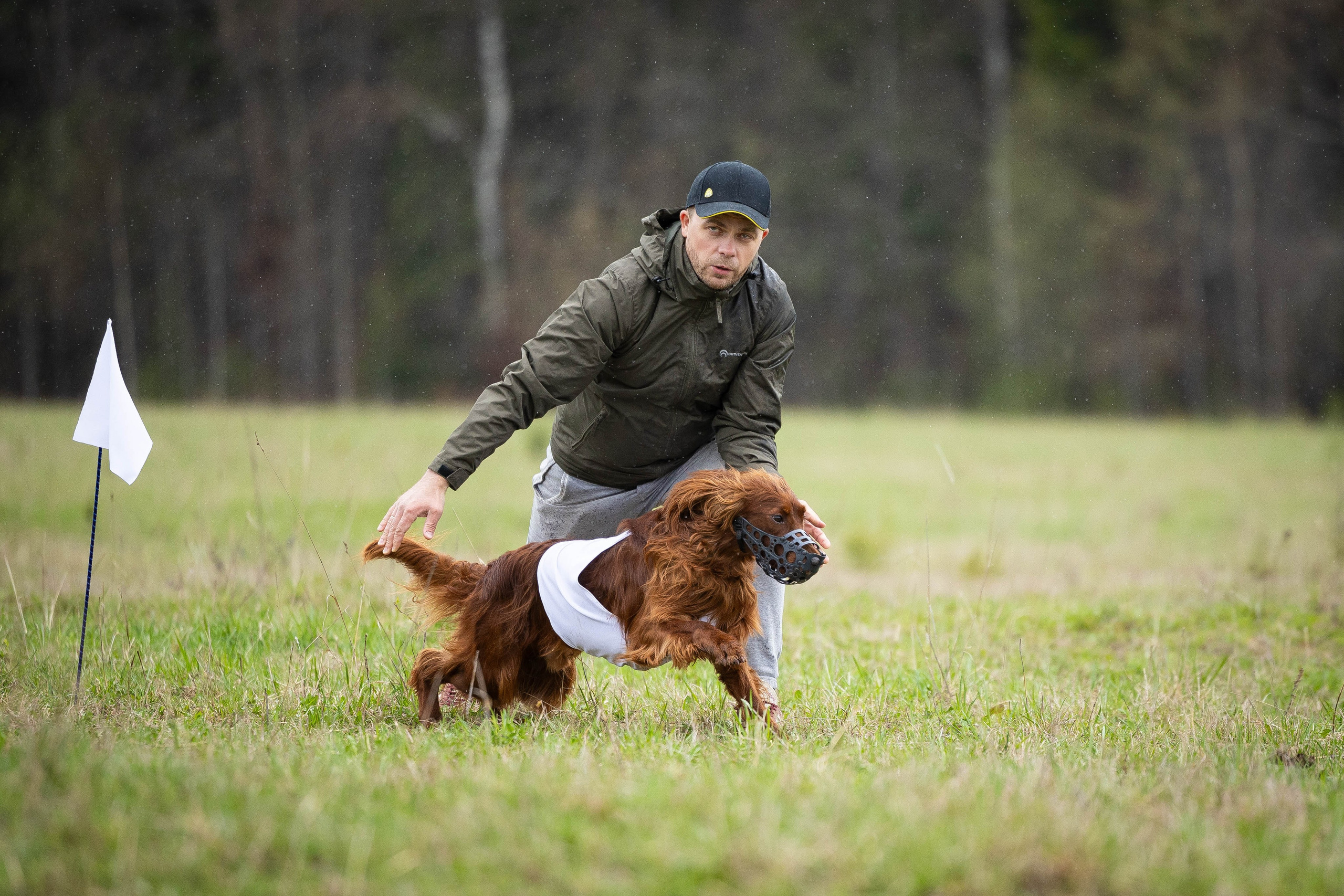 Курсинг. Фотограф Анималист в Перми Анастасия Остерман