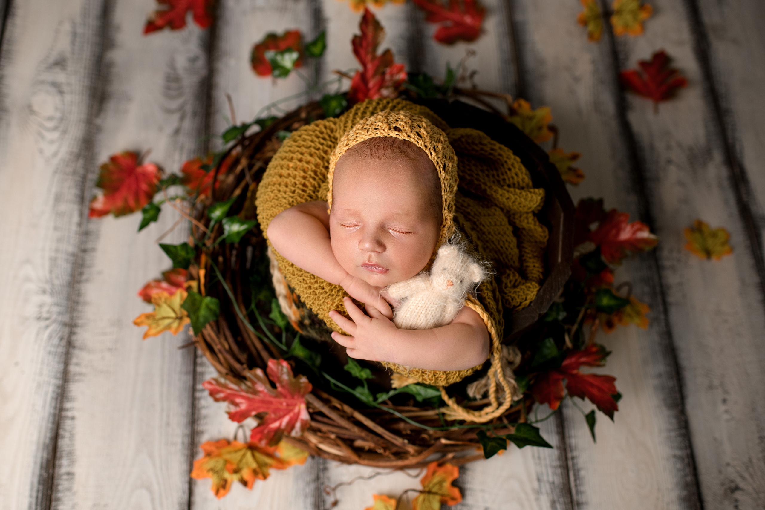 Новорожденные. Фотограф новорожденных в Ростове-на-Дону Светлана Лесс