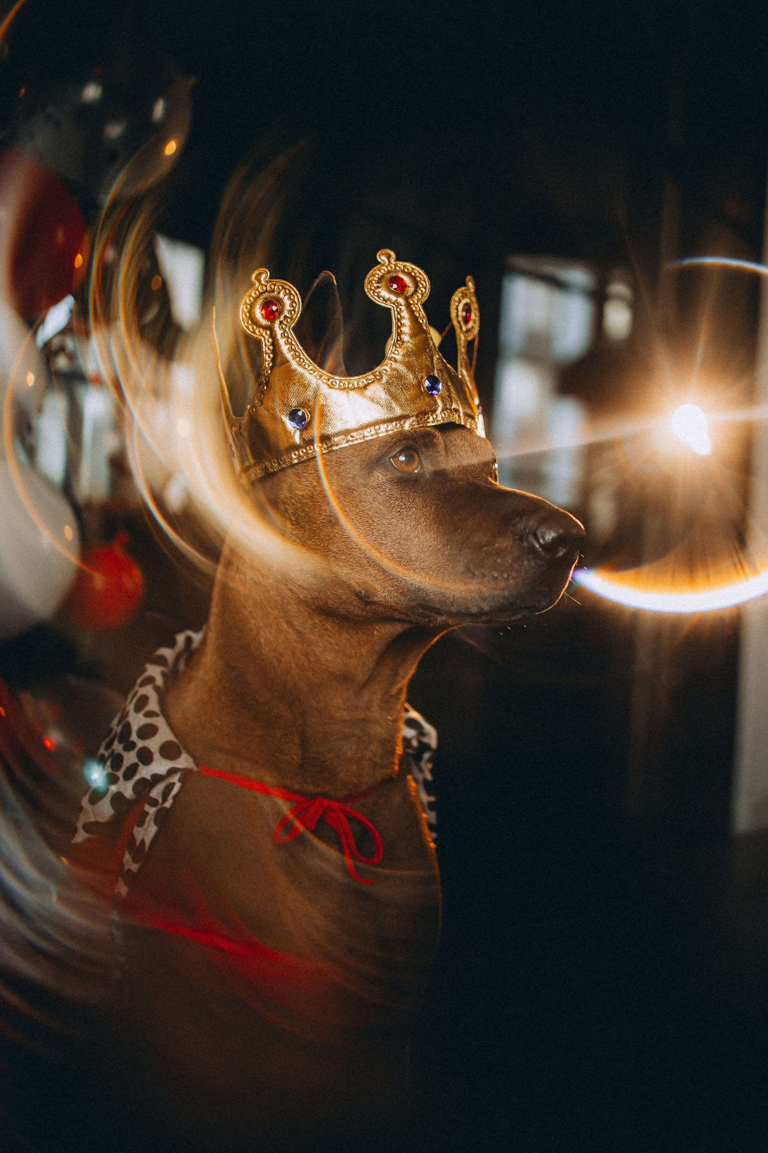 Оксана и Зевс