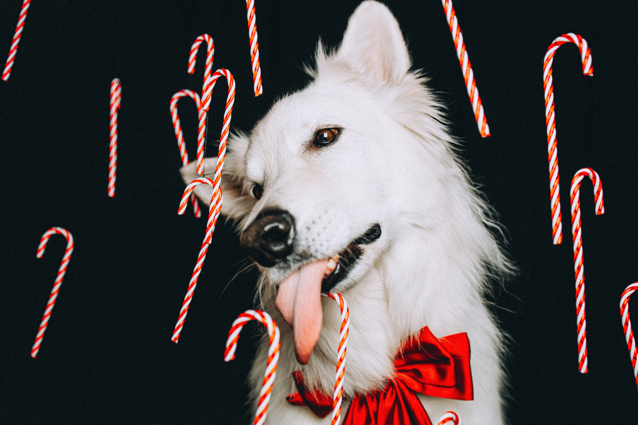 Джек, Бет и Кову