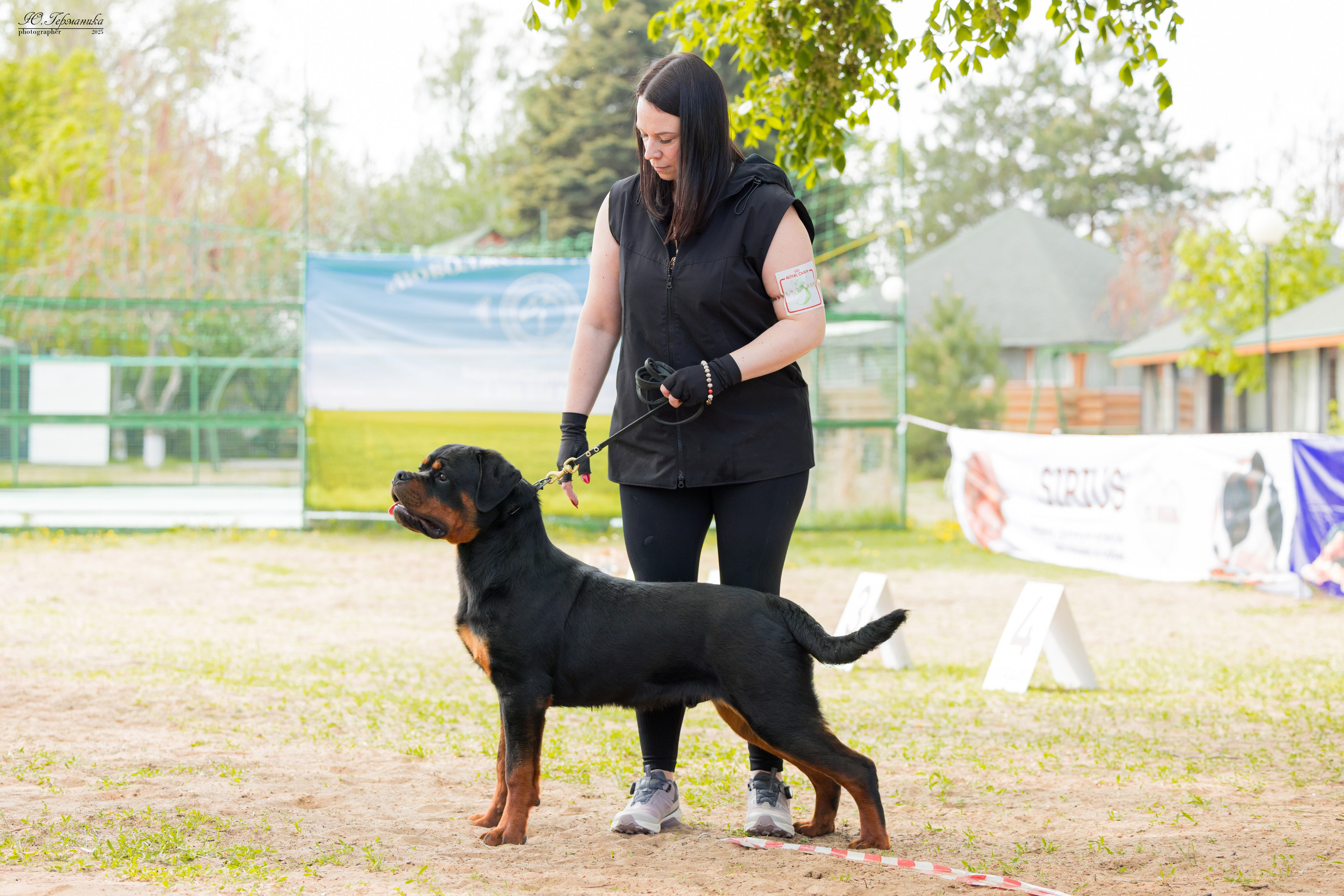 Саратов моно ротвейлеров 26-27.04.2025. Фотограф-анималист Юлия Германика