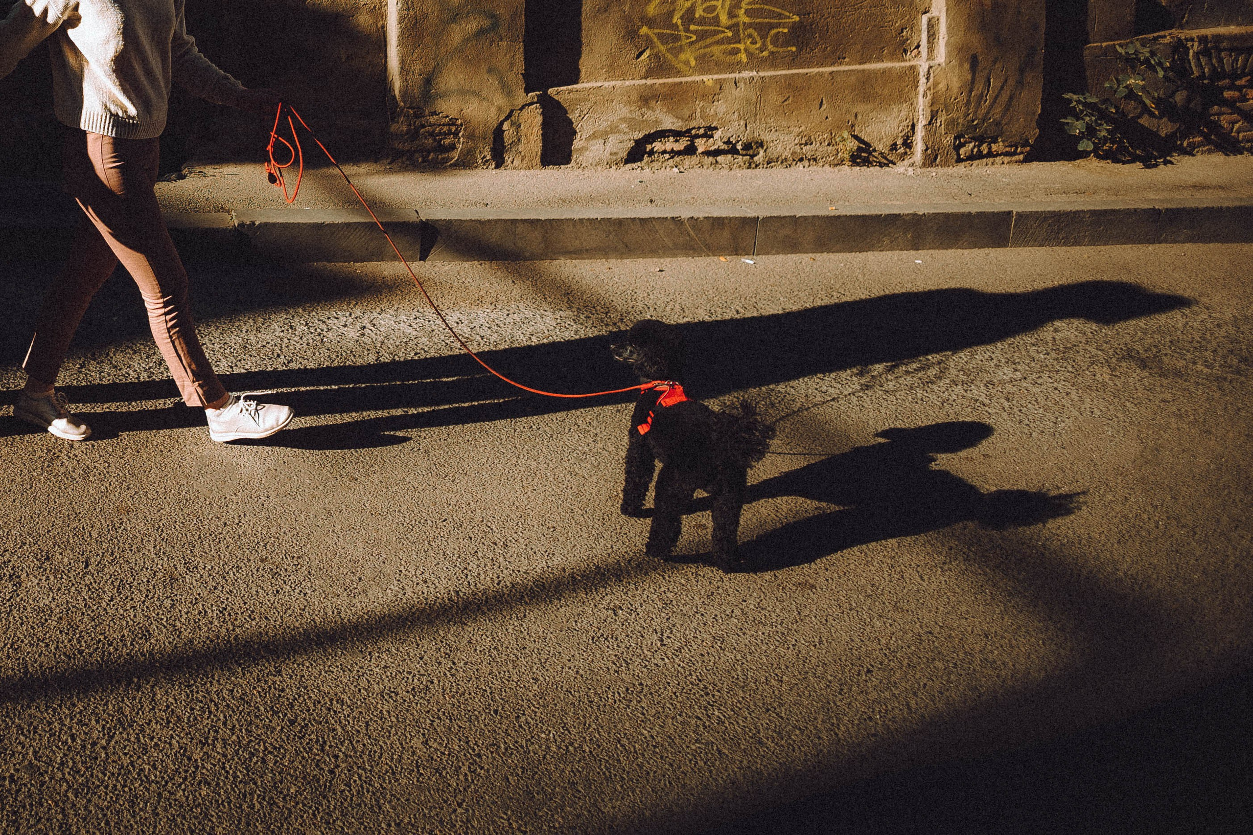 Игнат, Даша и Бэтти