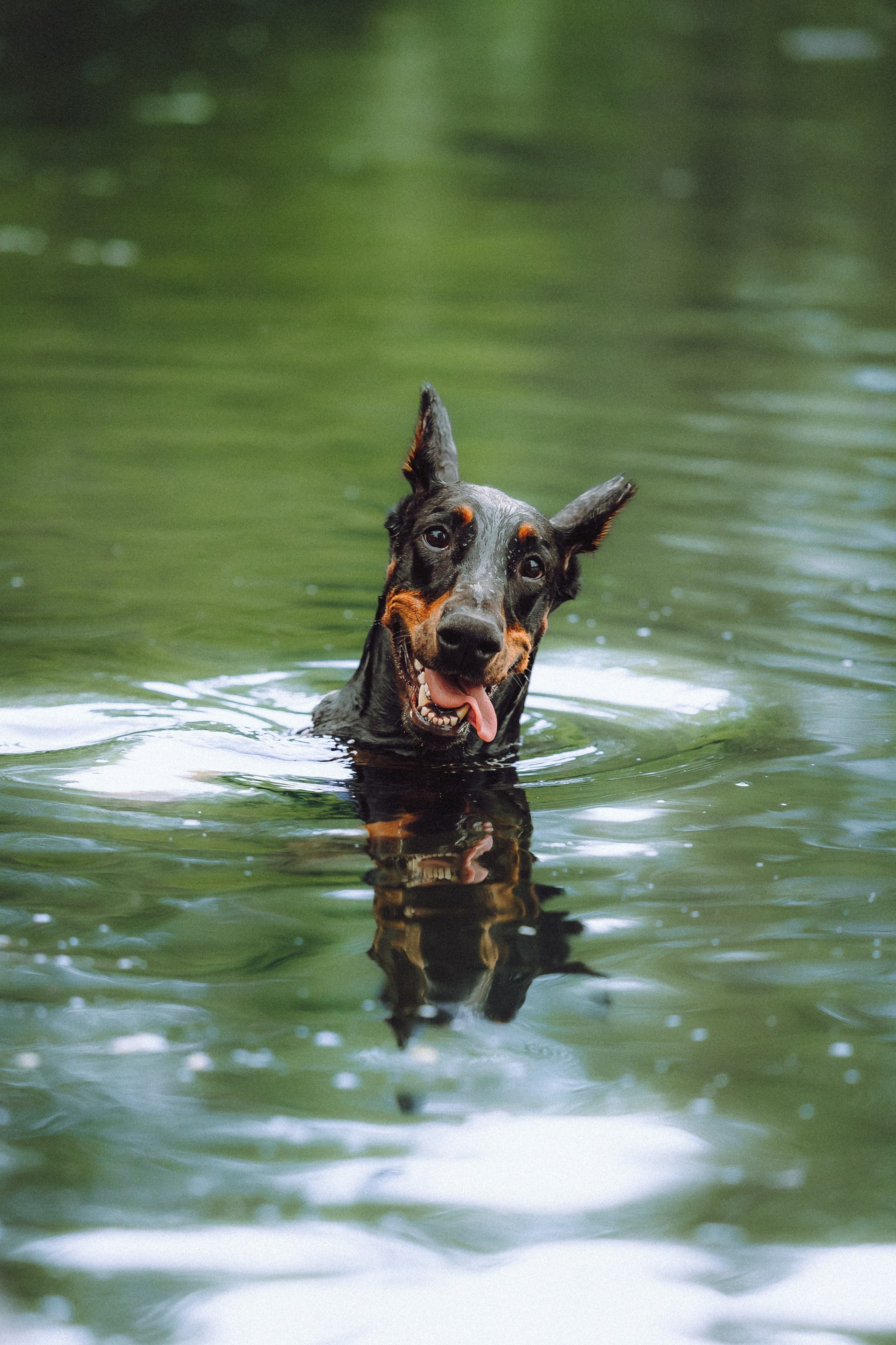 Паша, Хайди и Тея