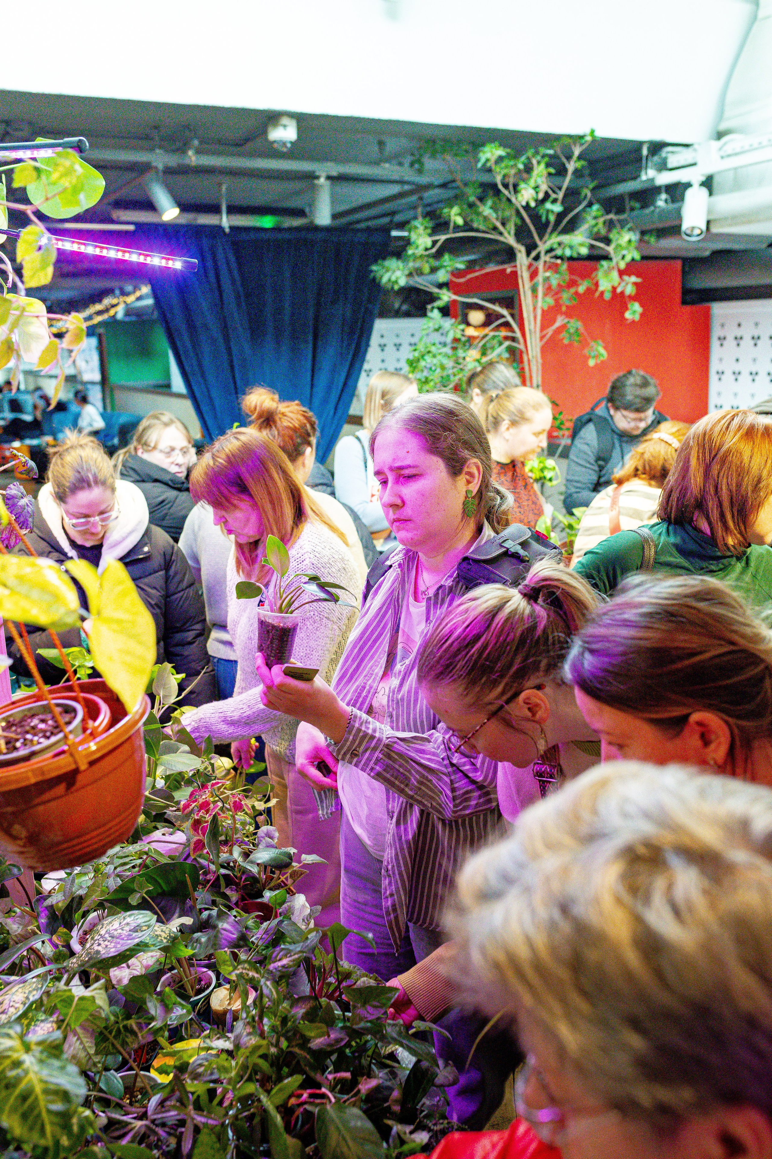 Growbox 1–2 марта. Александра Куликова фотограф, Москва