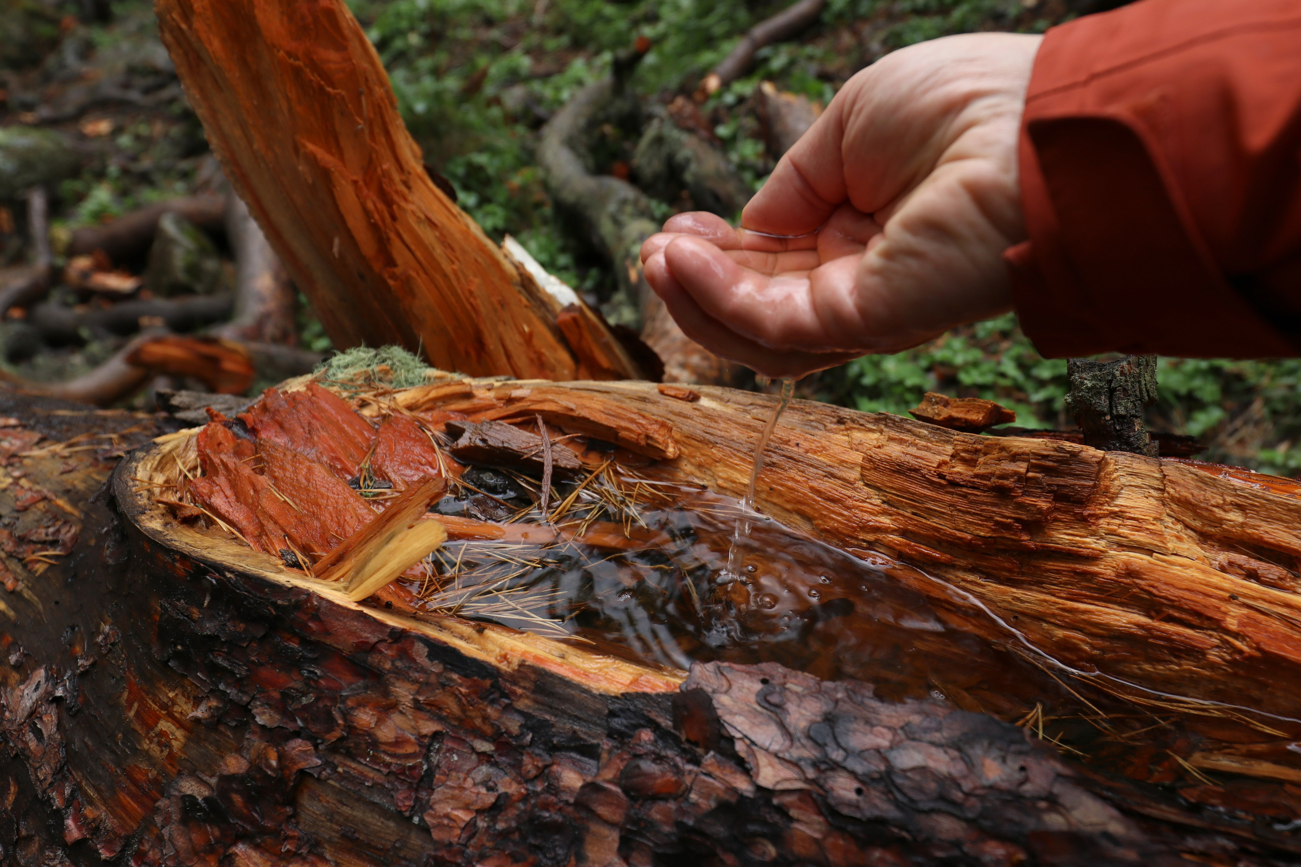 Приэльбрусье. Сентябрь 2024. Путешественник-фотограф из Санкт-Петербурга Татьяна Свистулина