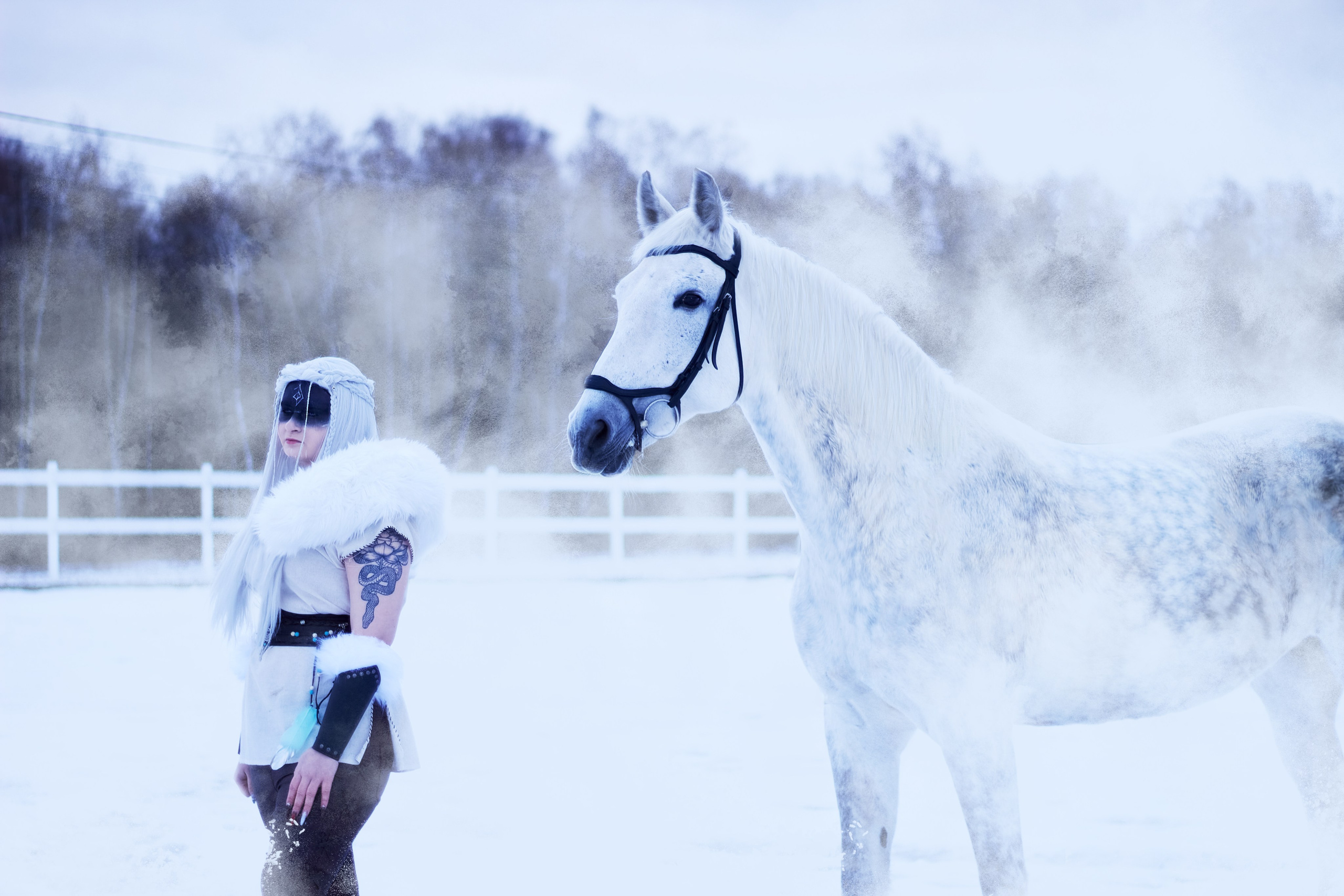 Фотосессии с лошадьми. Фотограф анималист — Тула, Москва