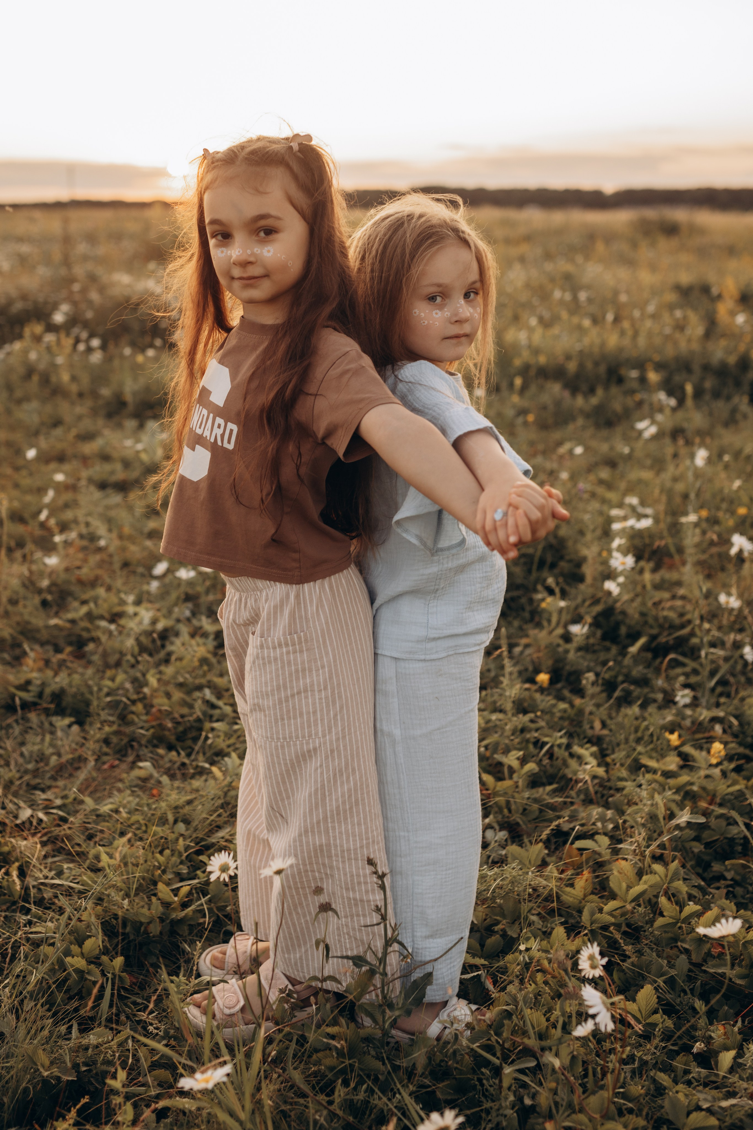 Закат на ромашковом поле. Фотограф в Ставрополе Svetlana Matveeva