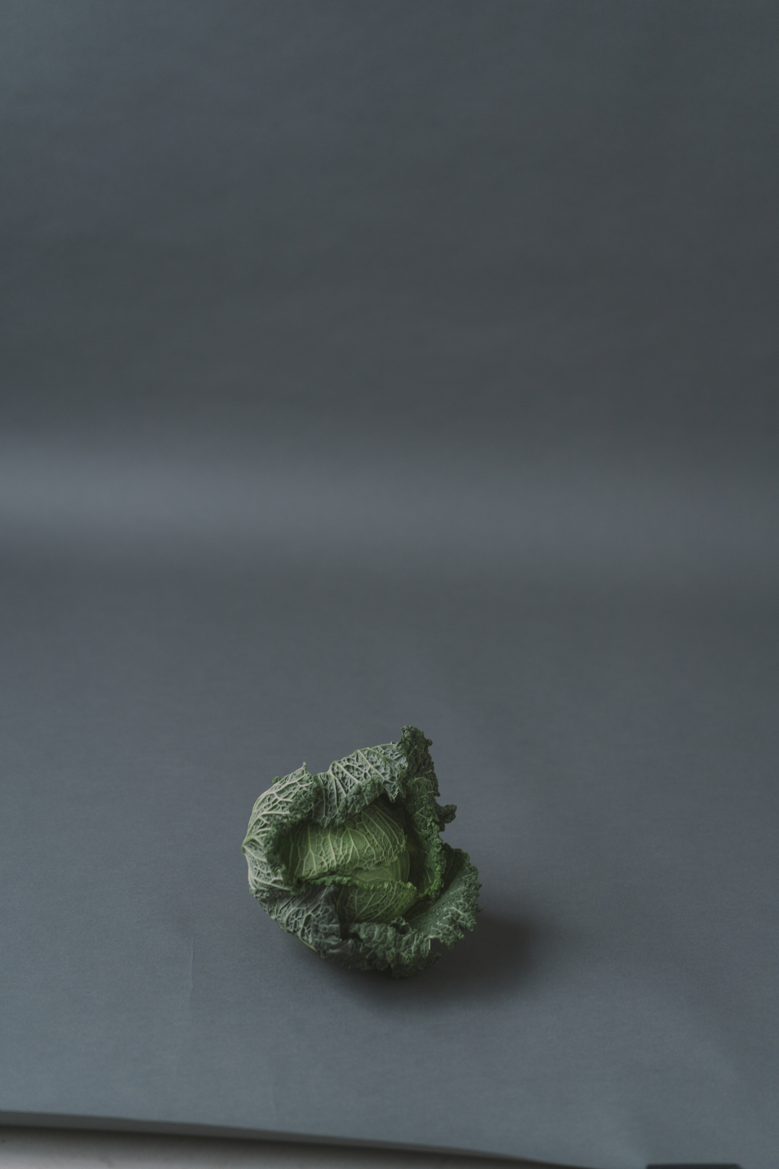 Sofia. Commercial photographer Natalia Bychkova