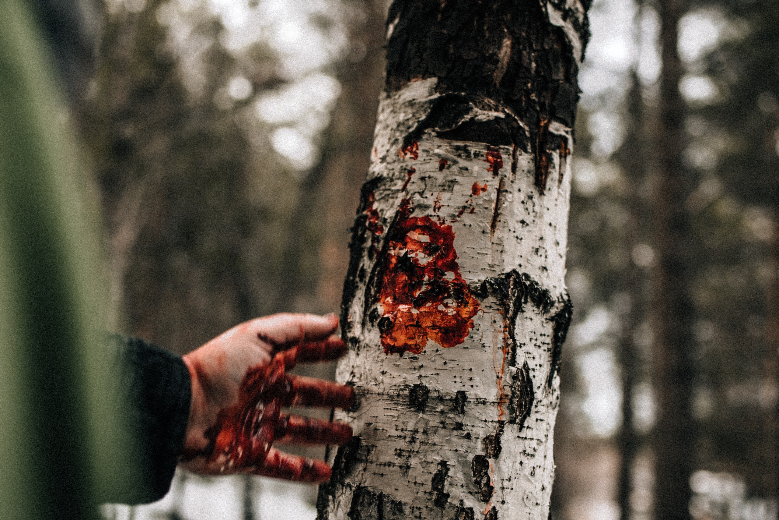 Скандинавские мотивы. Фотограф Елена Пожарова. Мурманская область, Апатиты, Кировск, Хибины
