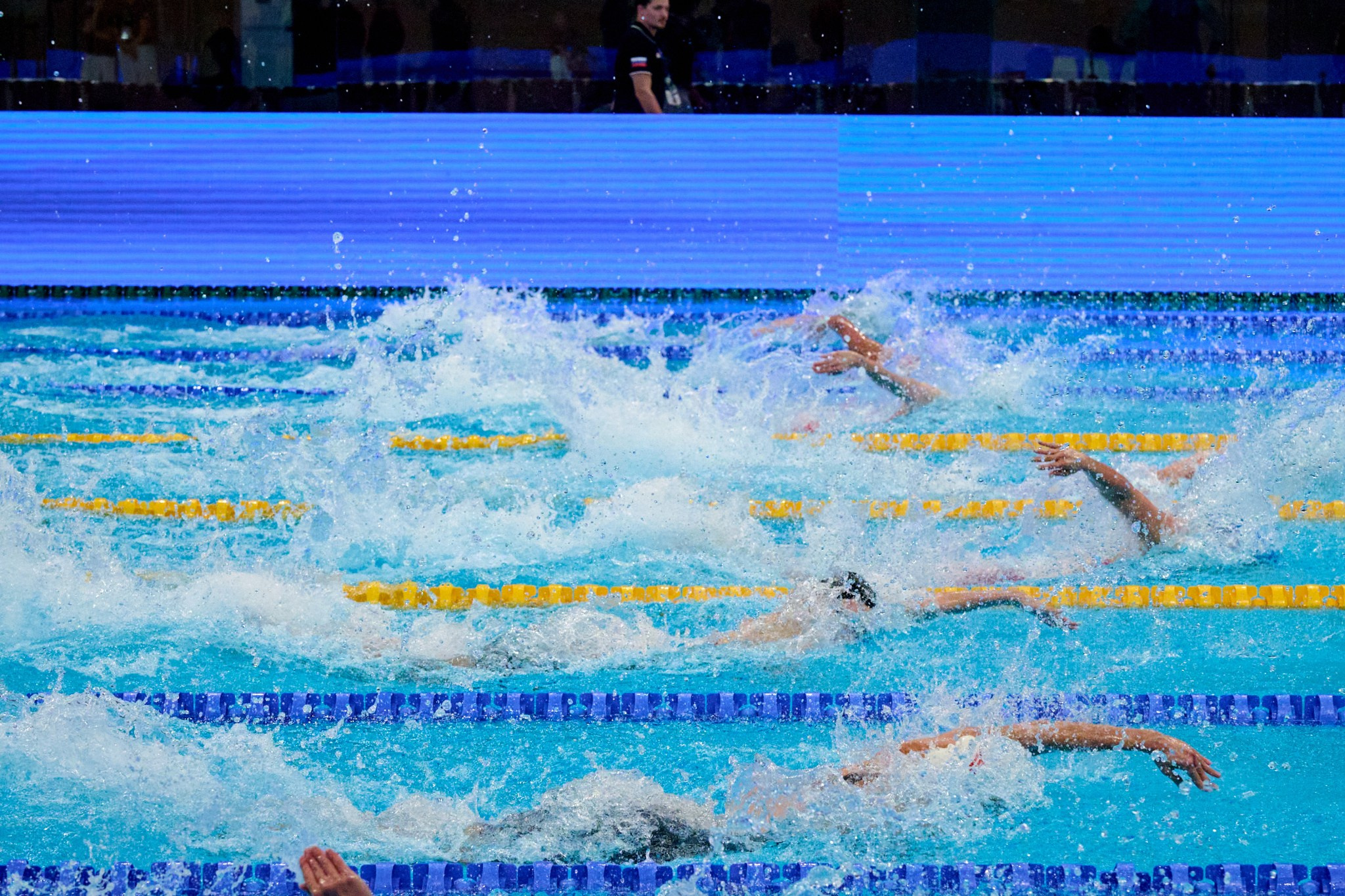 Кубок России по плаванию 2024 г. Екатеринбург. Мезенцев Евгений фотограф