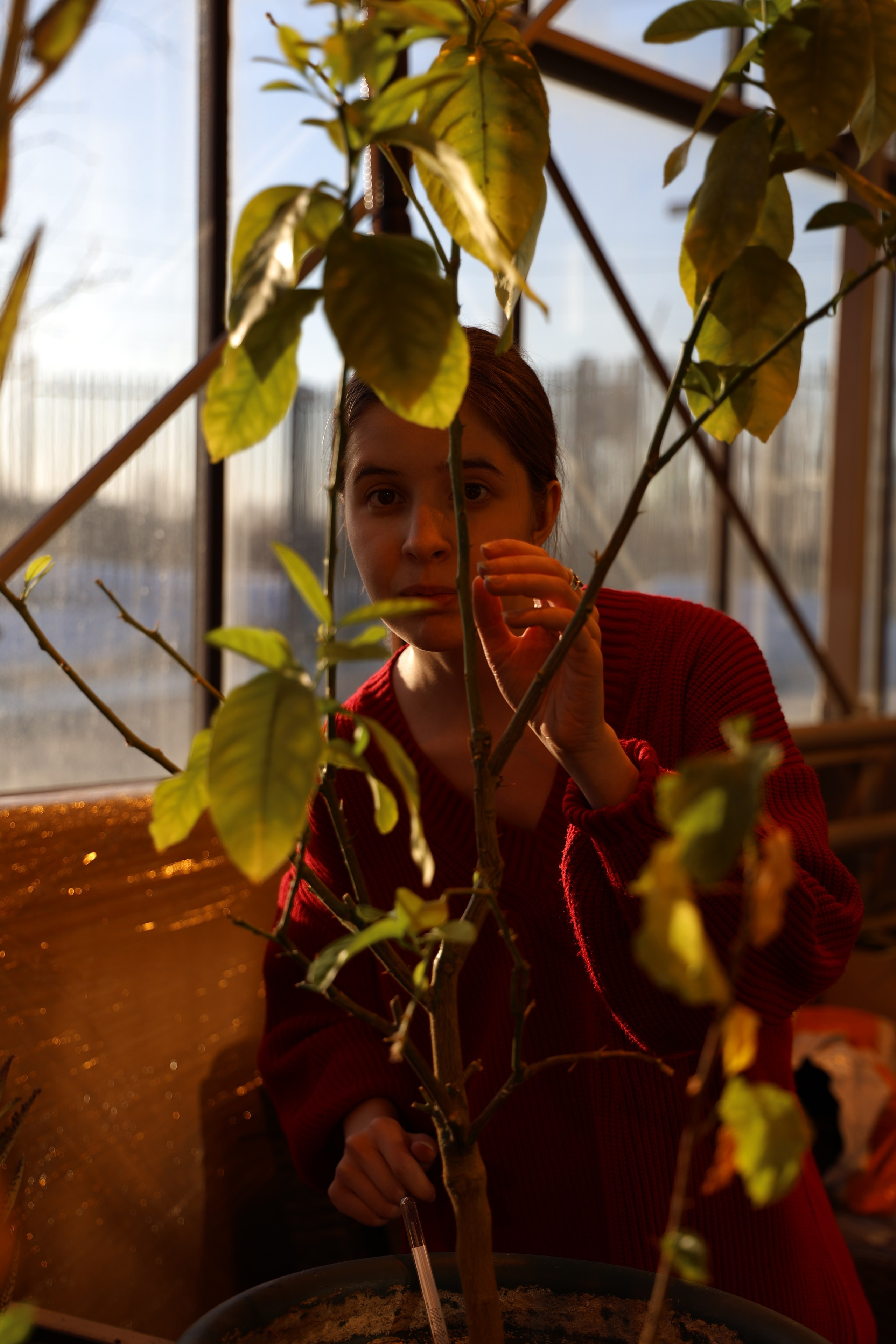 Весеннее солнце. Портретный фотограф в Москве Блинова Мария