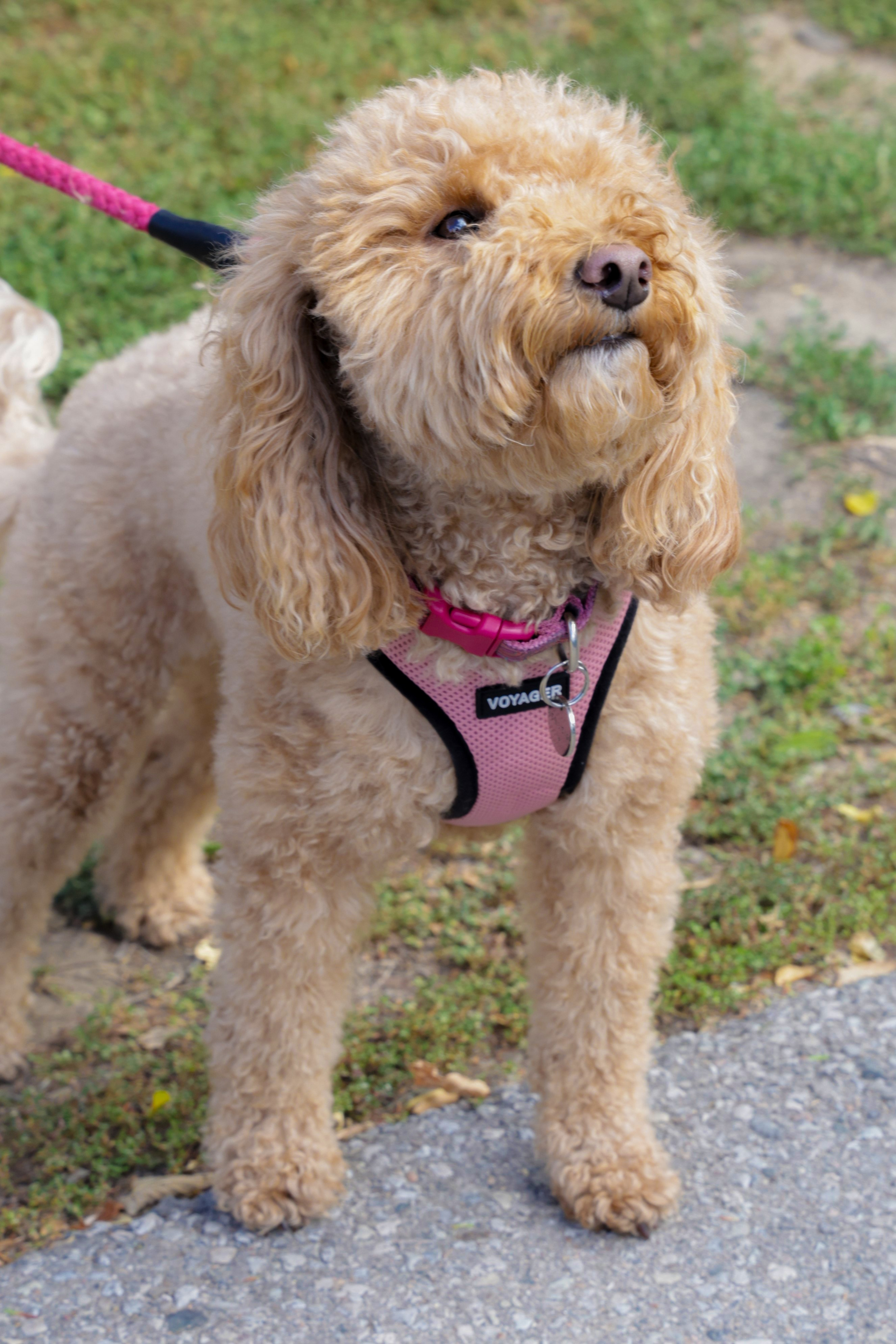 Queen St West Art Crawl. Portrait photographer based in Toronto — Blinova Mariia