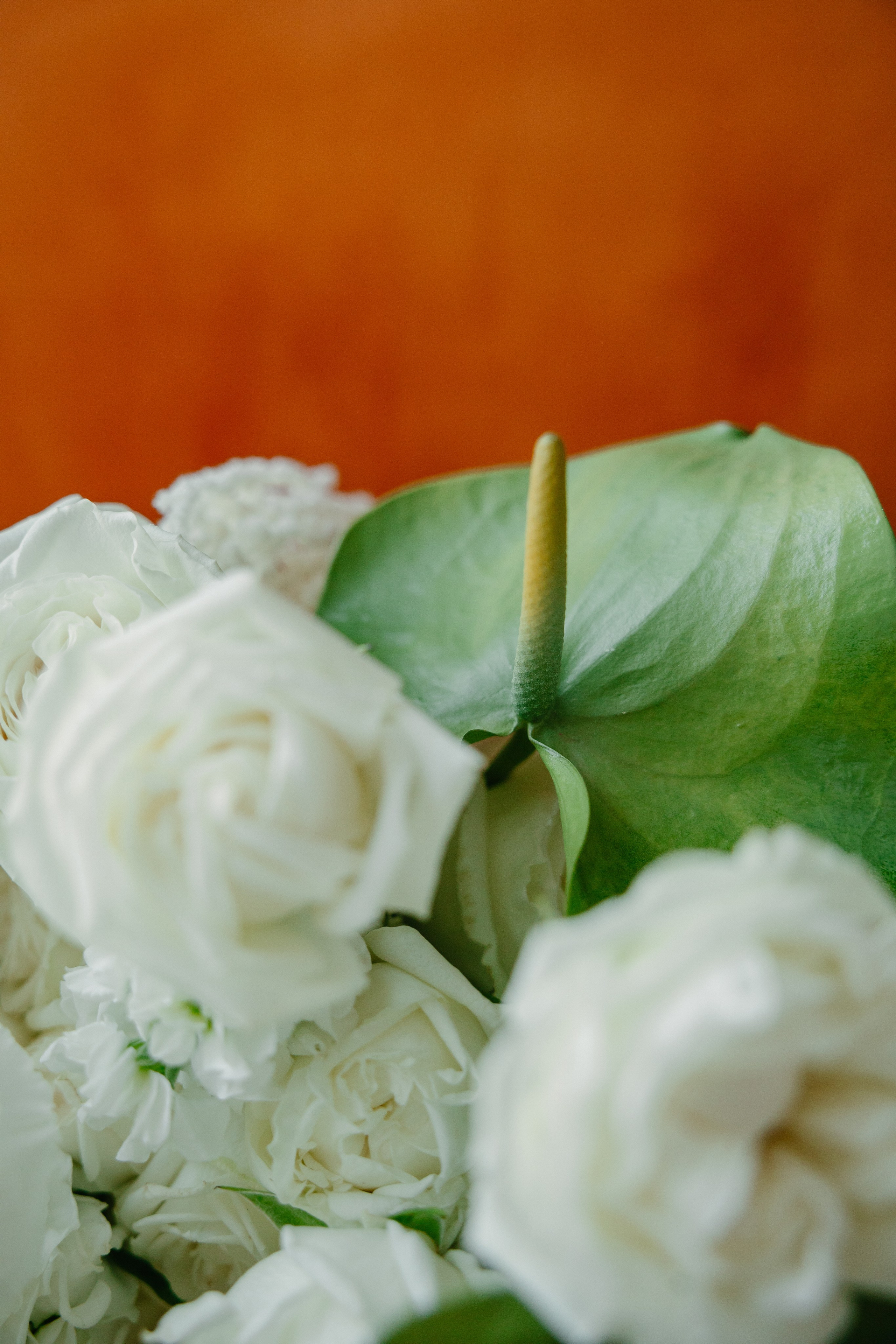 AV. Свадебный фотограф Краснодар и Москва. Анна Еремчук